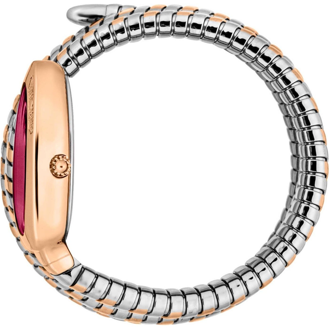 Ladies Casenza Watch (JC1L232M0065)