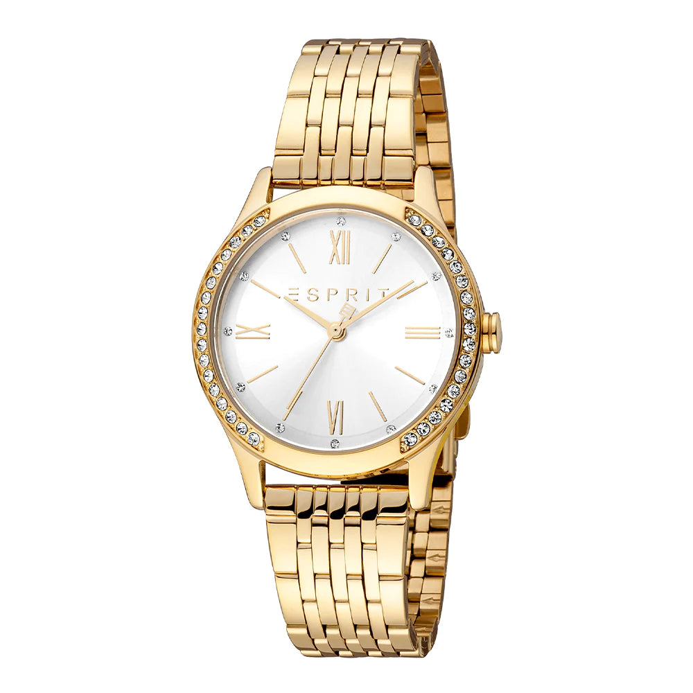 Ladies Analog Watch (ES1L345M0065).