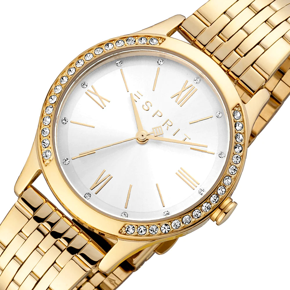 Ladies Analog Watch (ES1L345M0065).