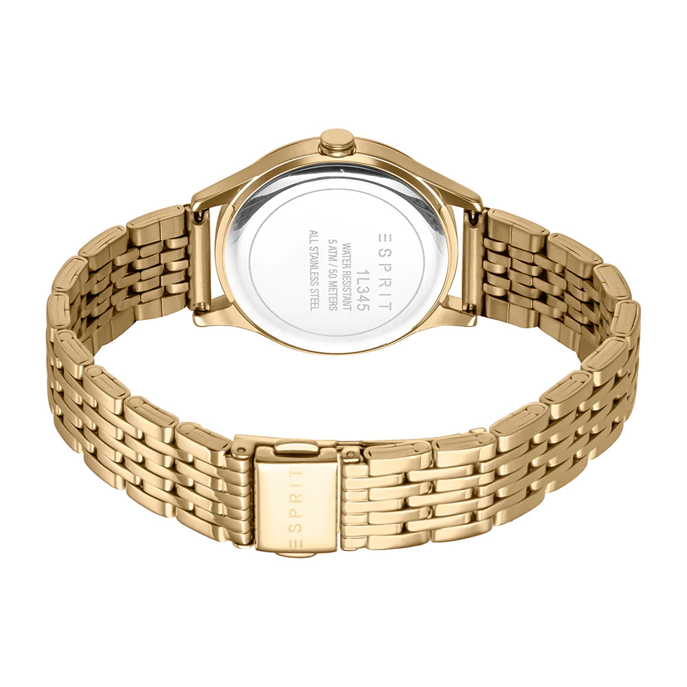Ladies Analog Watch (ES1L345M0065).