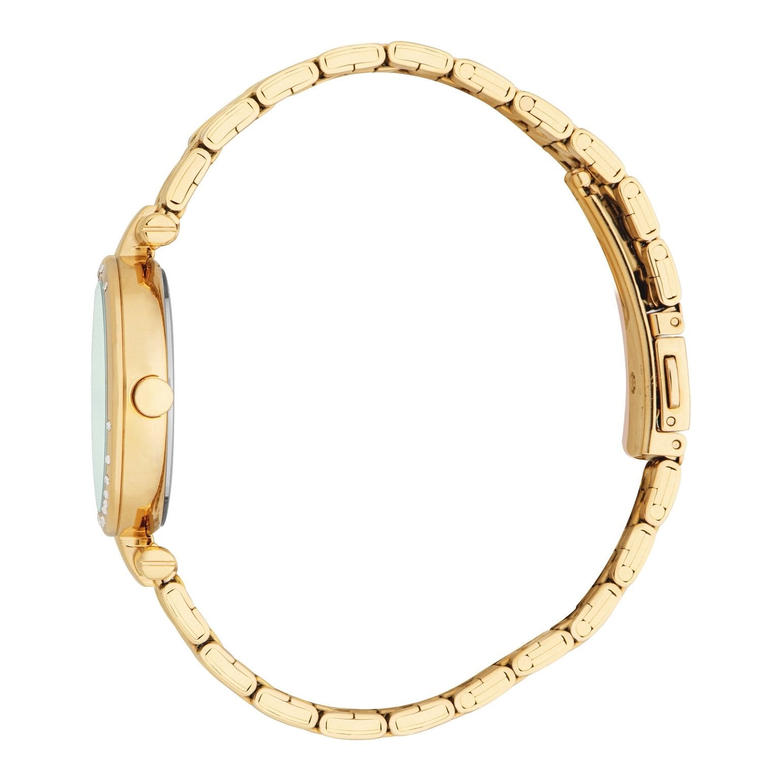 Ladies Laila II Watch (ES1L426M0035).