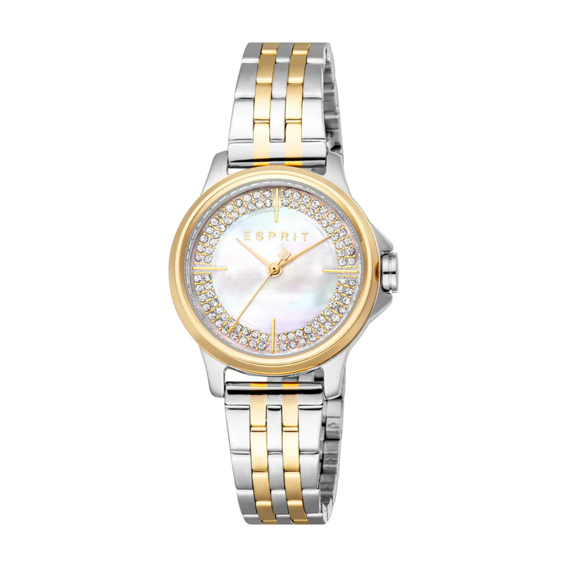Ladies Winslet Watch (ES1L432M0075)