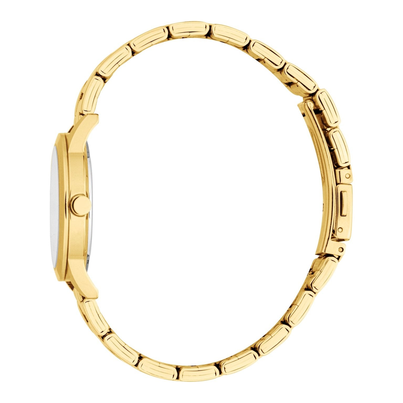 Ladies Pointy S Watch (ES1L434M0025)