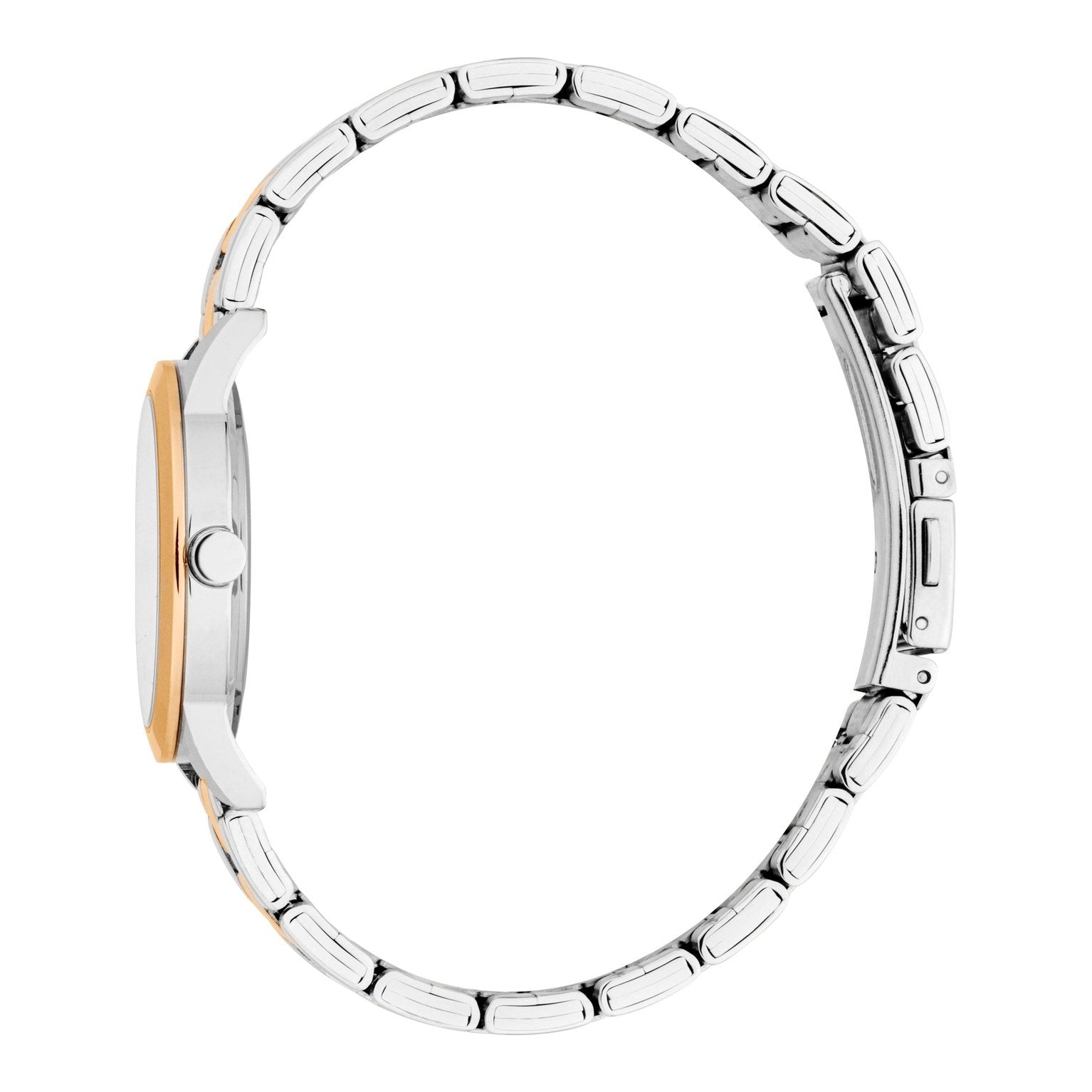 Ladies Pointy S Watch (ES1L434M0075).