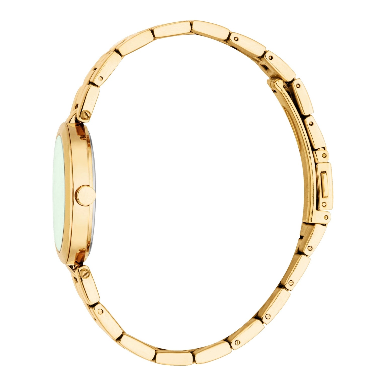 Ladies Autumn Watch (ES1L455M0065).