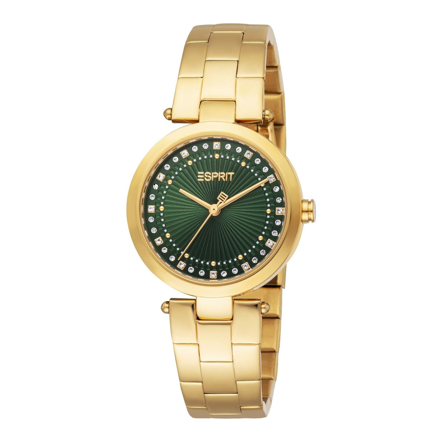 Ladies Autumn Watch (ES1L455M0065).
