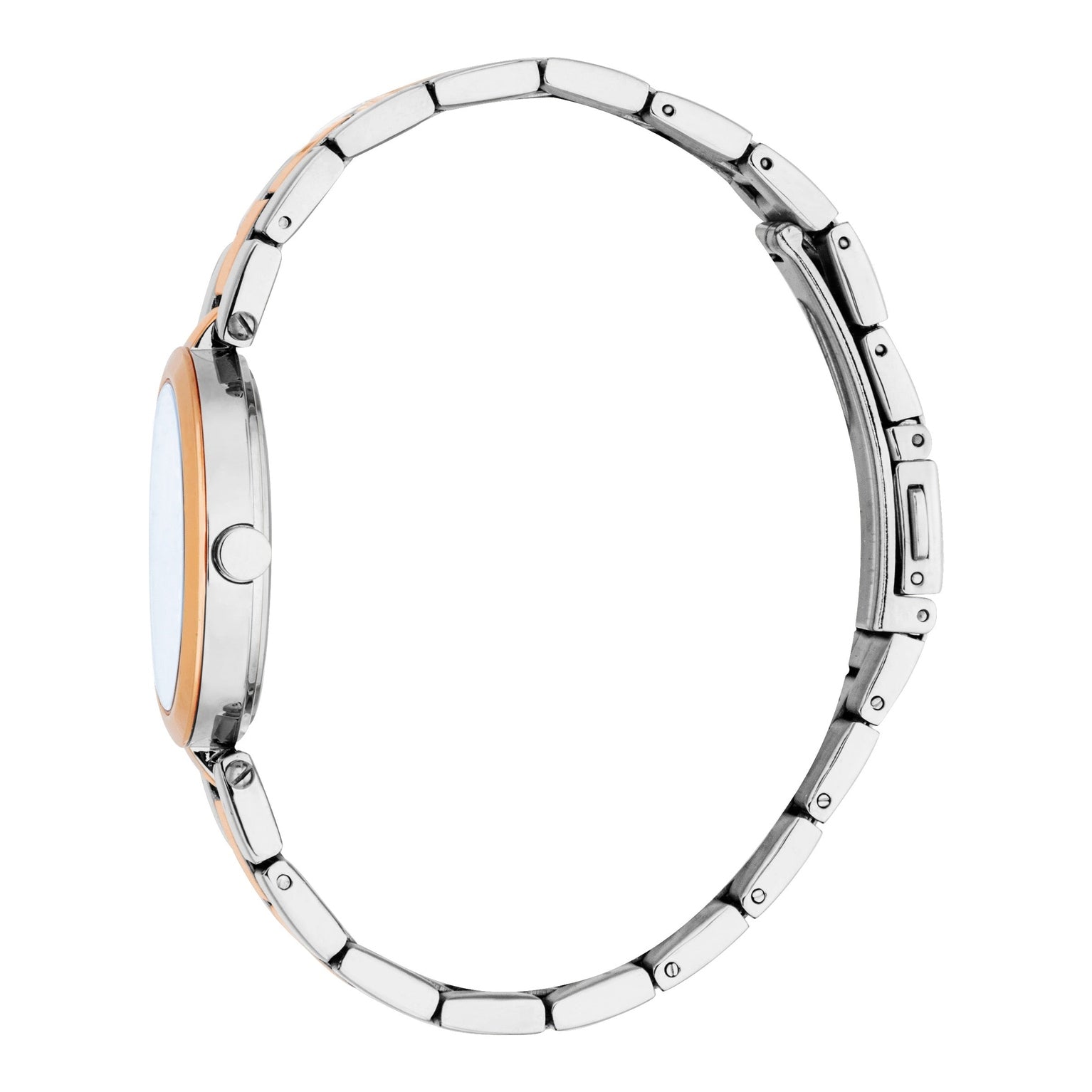 Ladies Autumn Watch (ES1L455M0095).