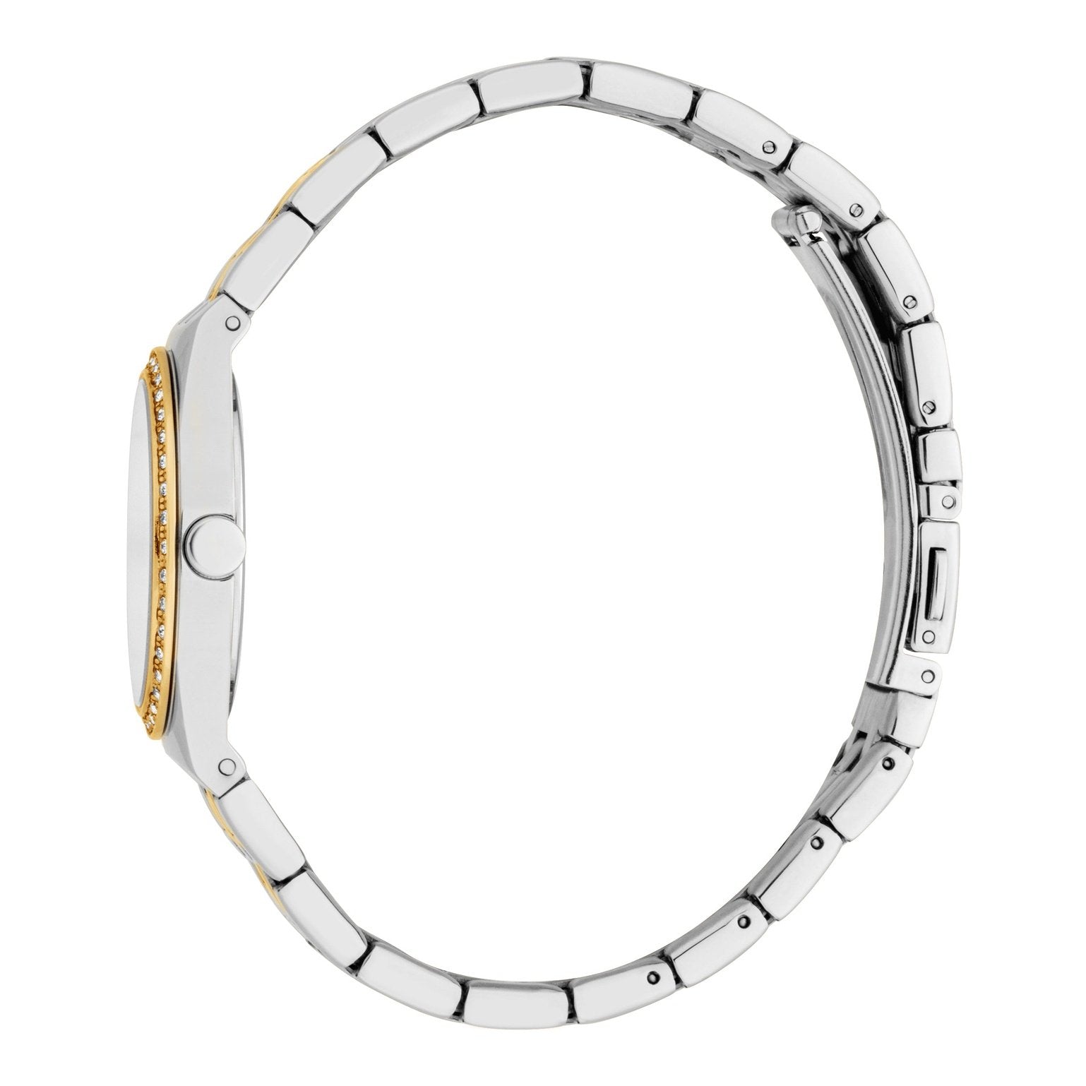 Ladies Drew Watch (ES1L464M0055)