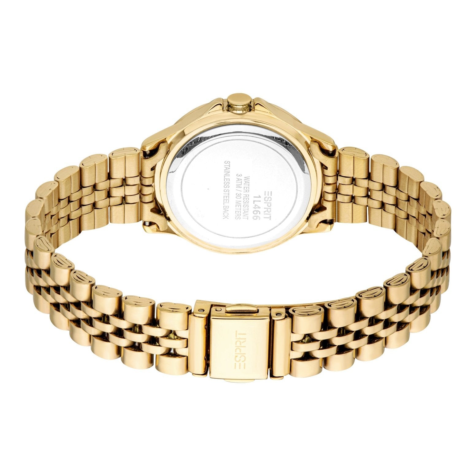 Ladies Paisley Watch (ES1L466M0055).