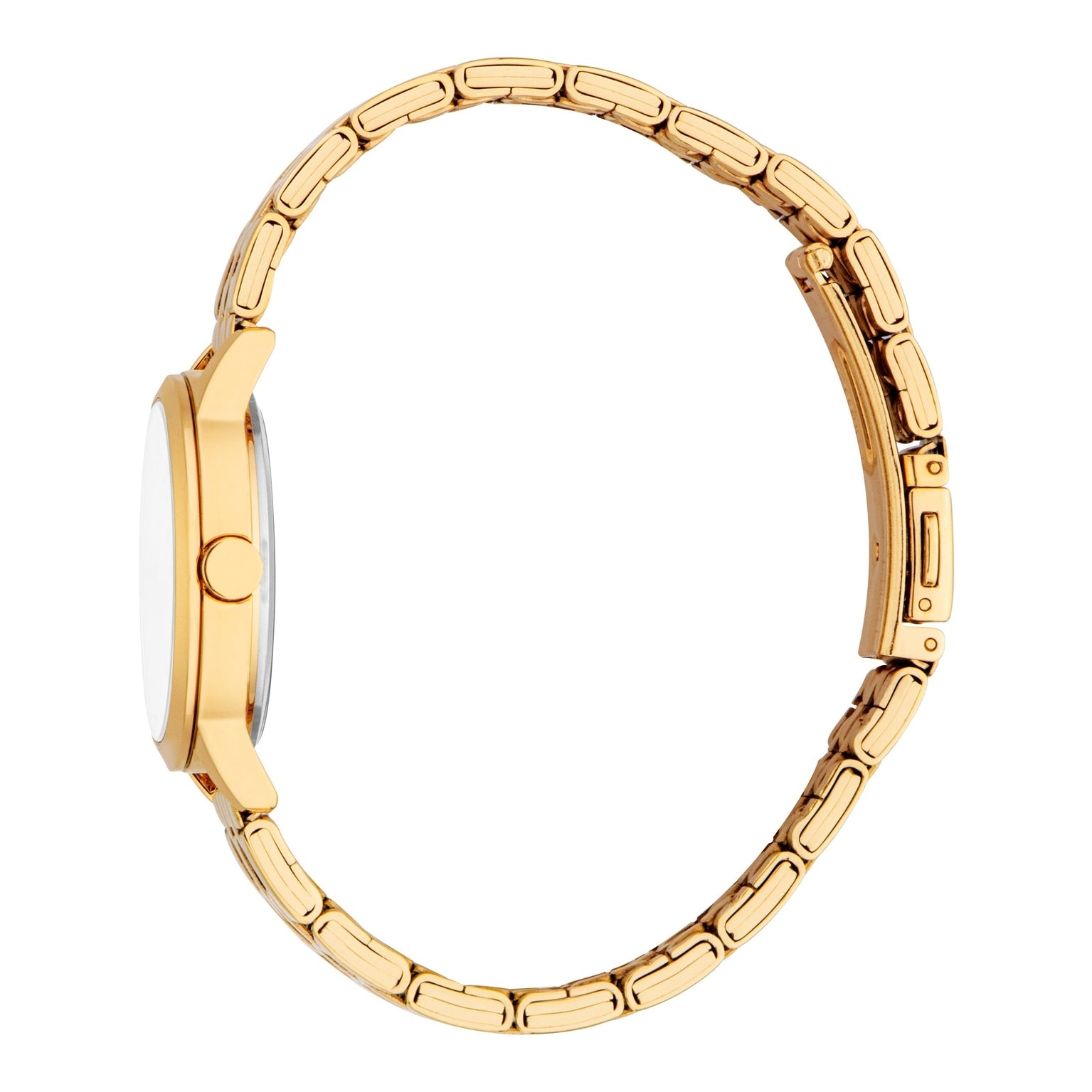Ladies Renata Watch (ES1L484M1045)