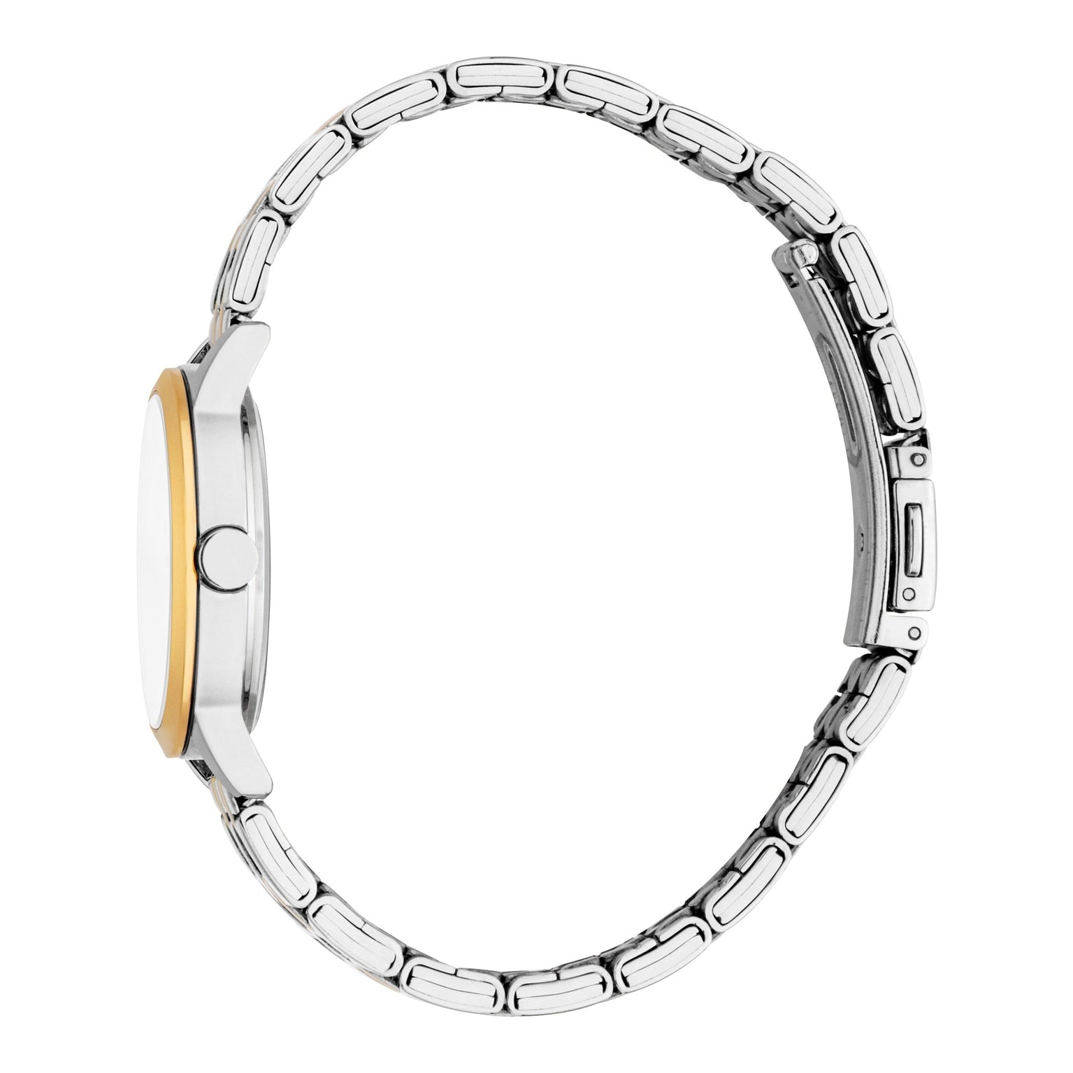 Ladies Renata Watch (ES1L484M1065)