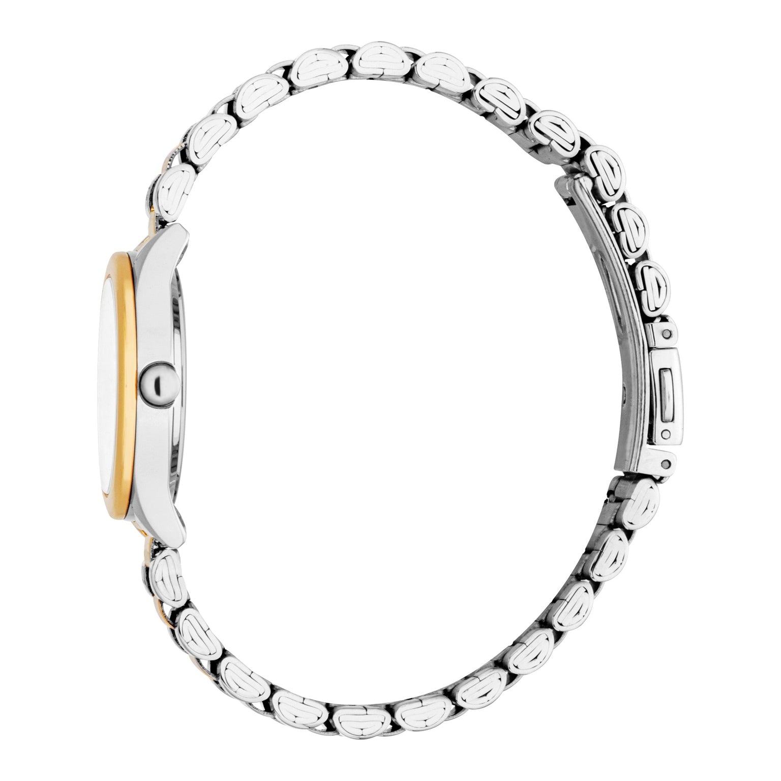 Ladies Zuri Watch (ES1L486M1065)