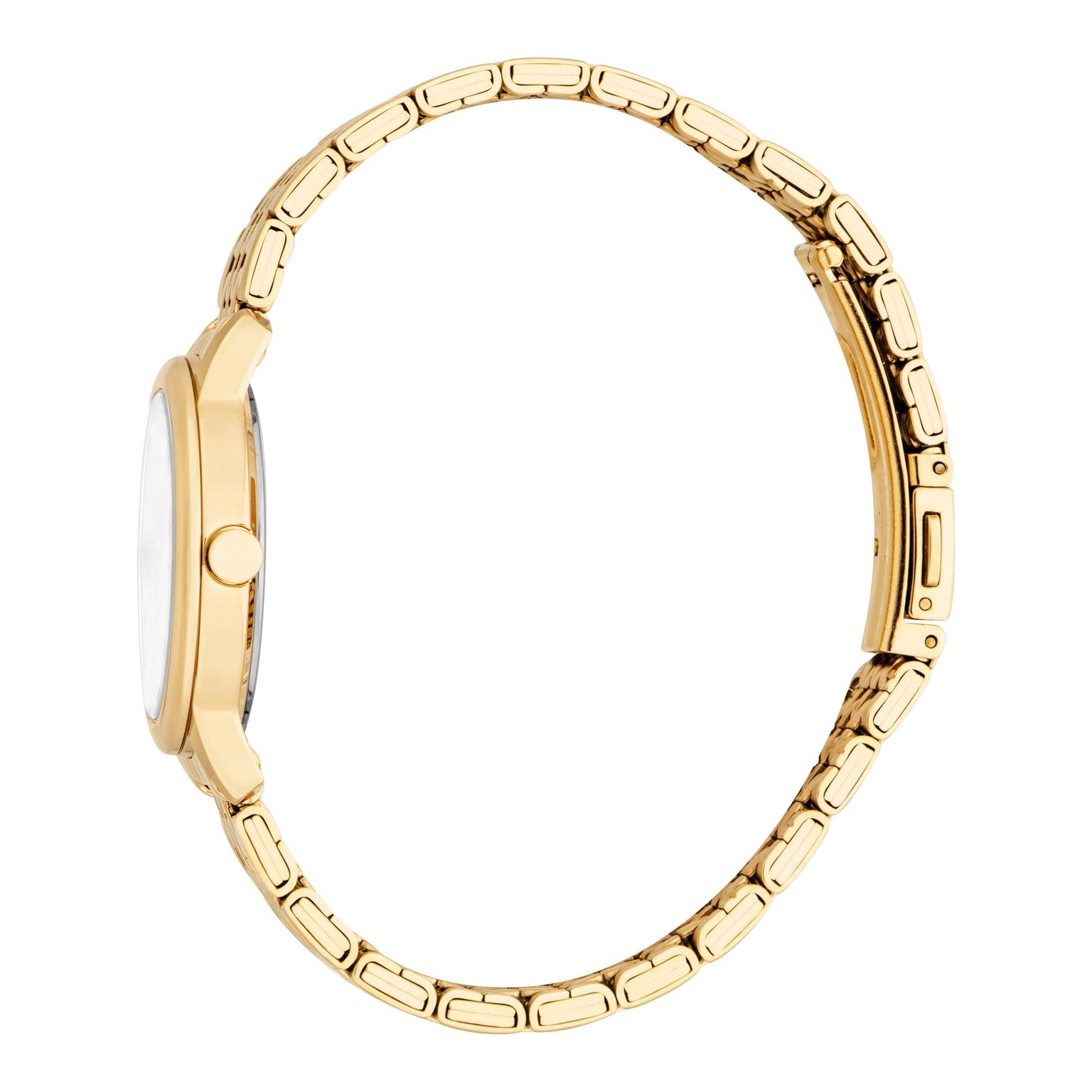 Ladies Elliana Watch (ES1L487M0025).