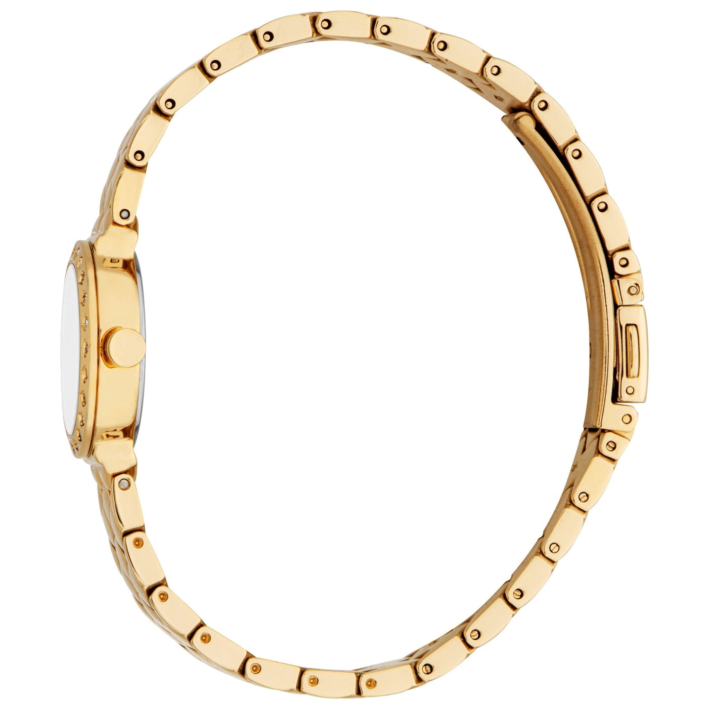 Ladies Rosalie Watch (ES1L510M0025)