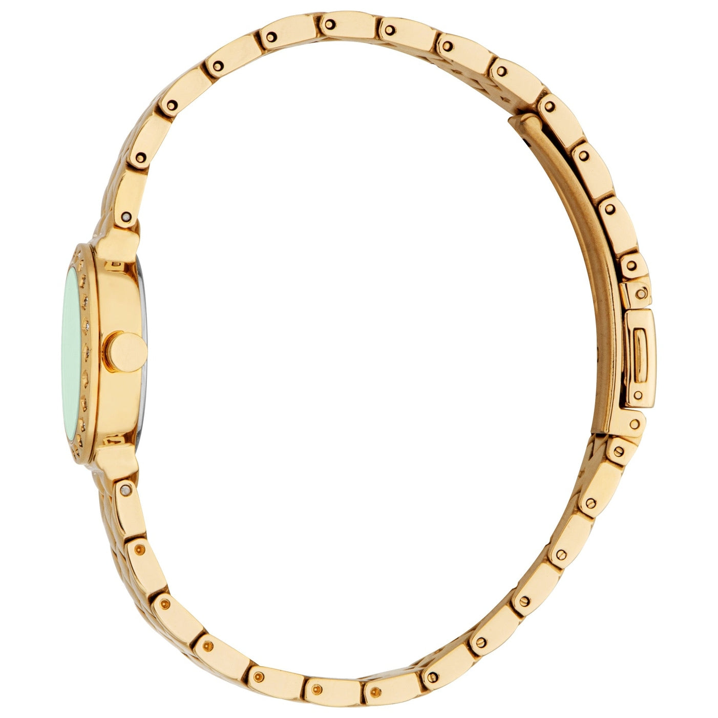 Ladies Rosalie Watch (ES1L510M0035)