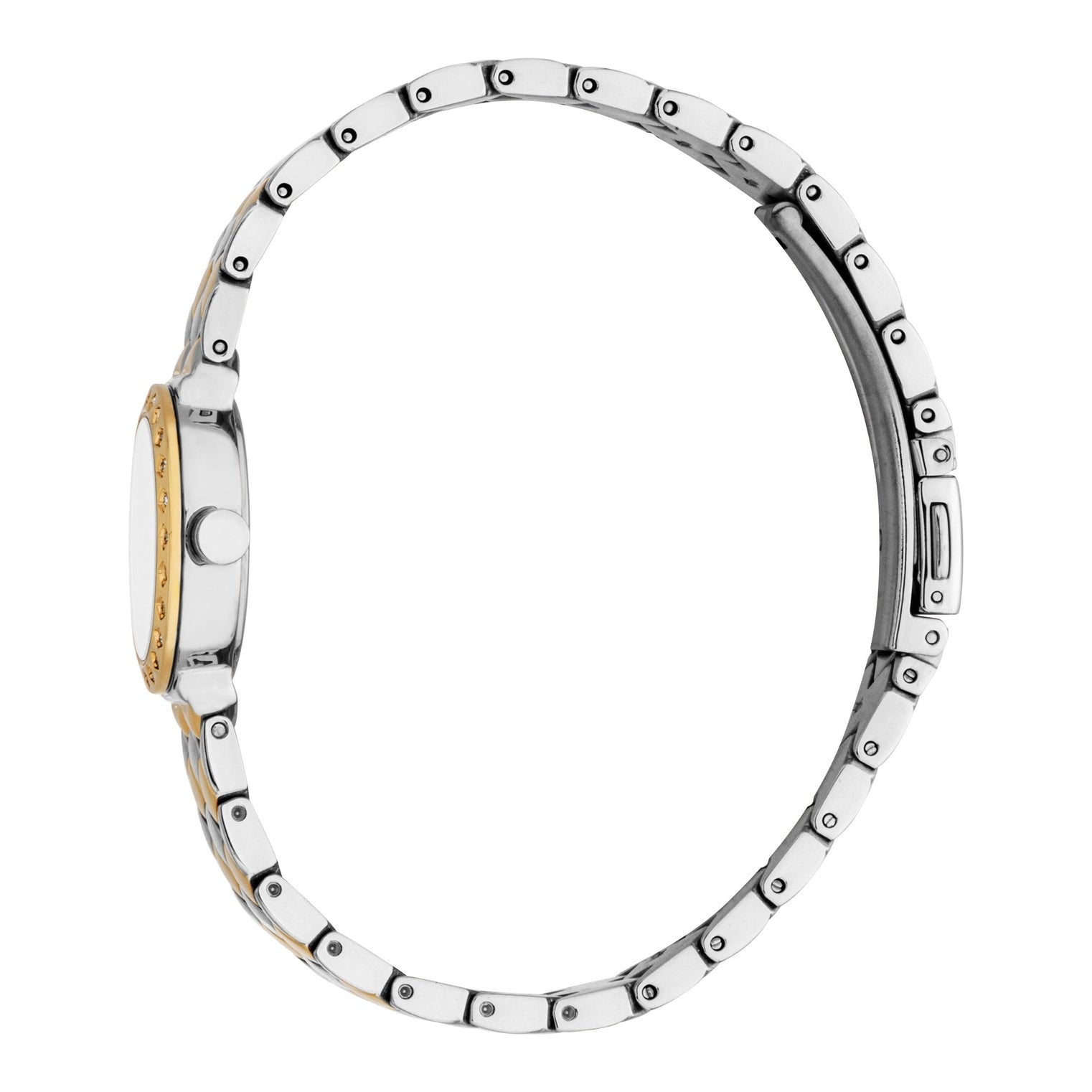 Ladies Rosalie Watch (ES1L510M0055)