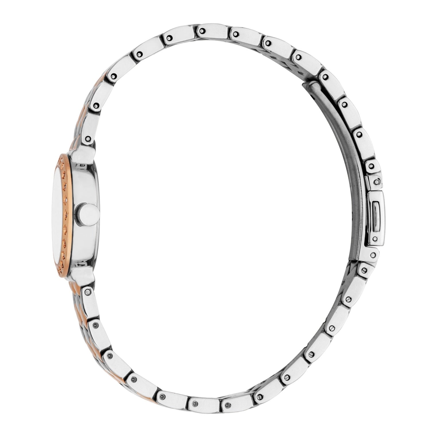 Ladies Rosalie Watch (ES1L510M0065)
