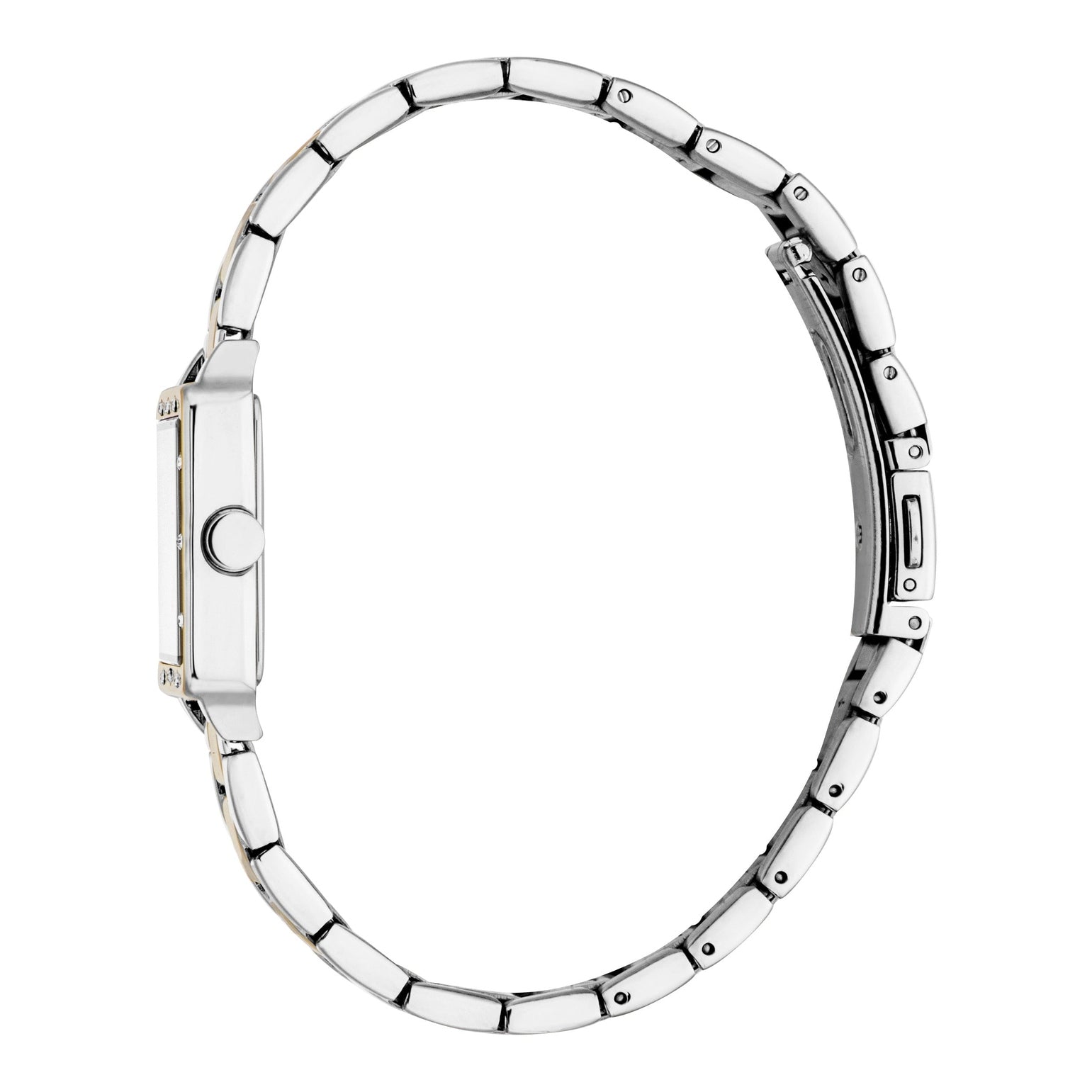 Ladies Raina Watch (ES1L550M0065)