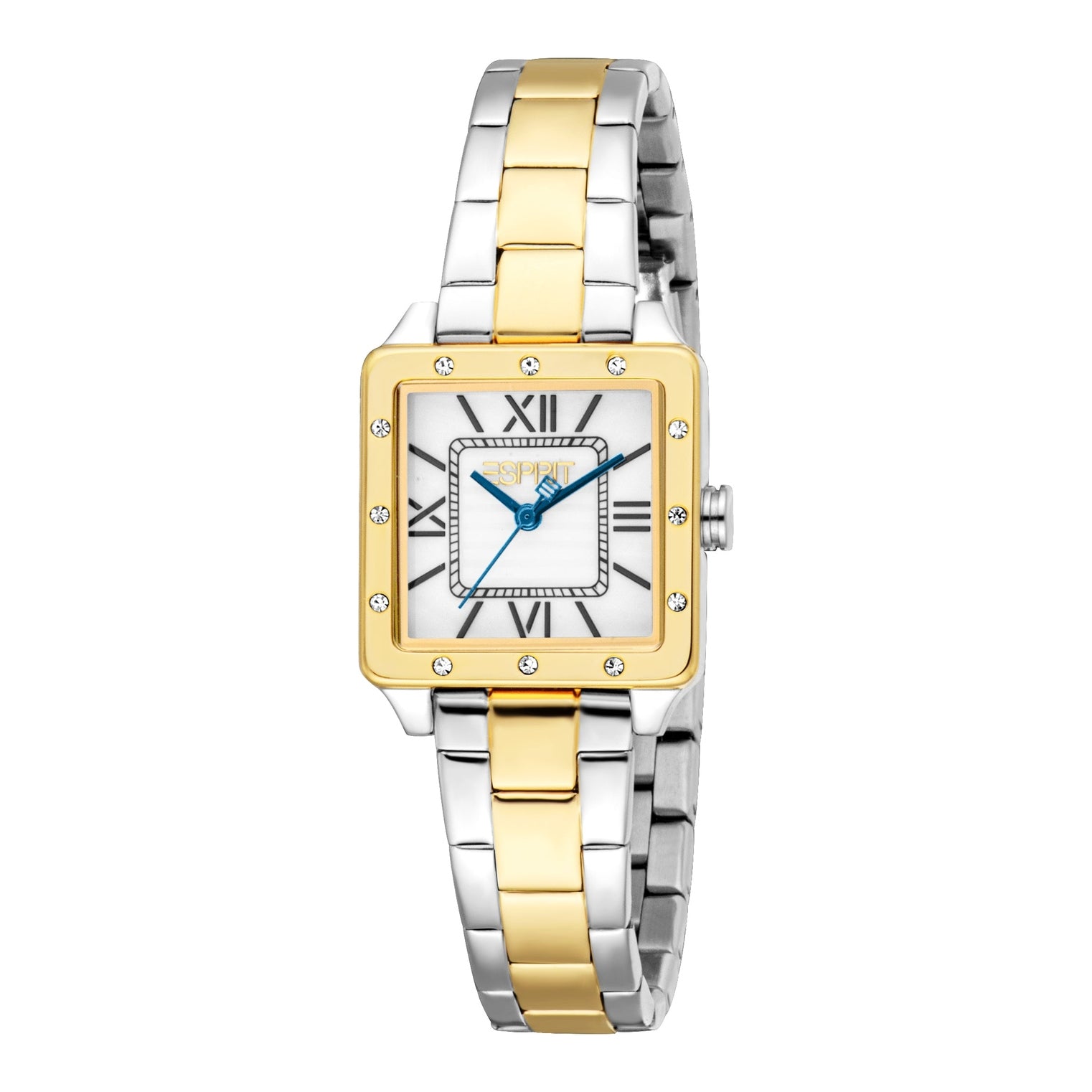 Ladies Raina Watch (ES1L550M0065)