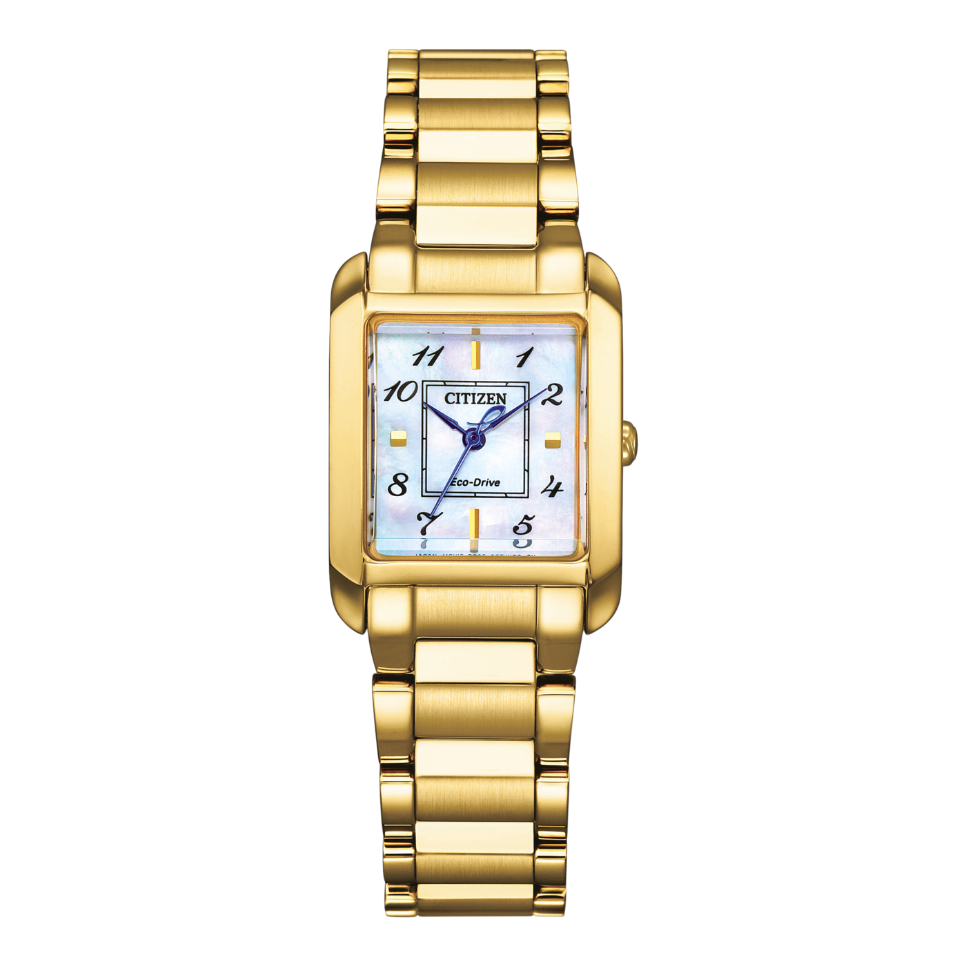 Ladies Eco-Drive Watch (EW5602-81D)