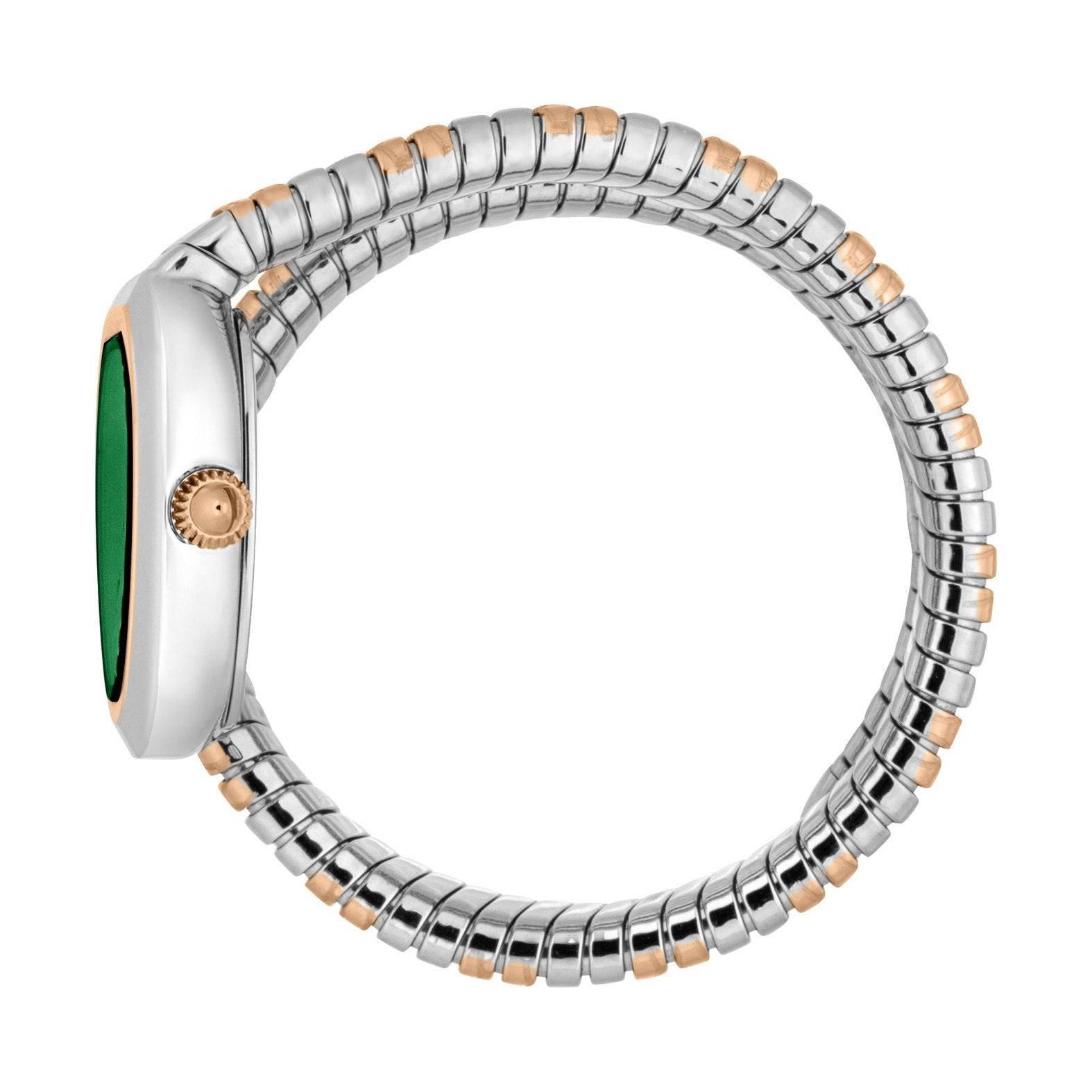 Ladies Aversa Watch (JC1L222M0075)