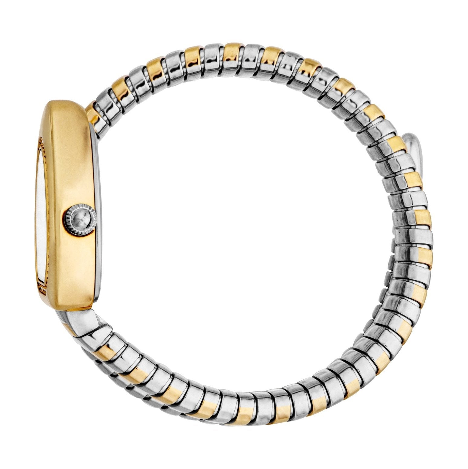 Ladies Analogue Watch (JC1L249M0055)