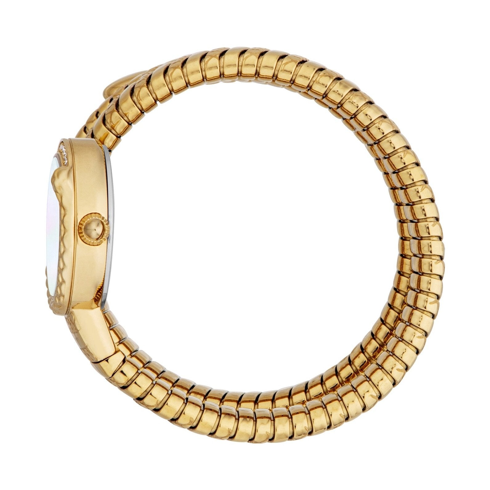 Ladies Enchanting Watch (JC1L302M0025)