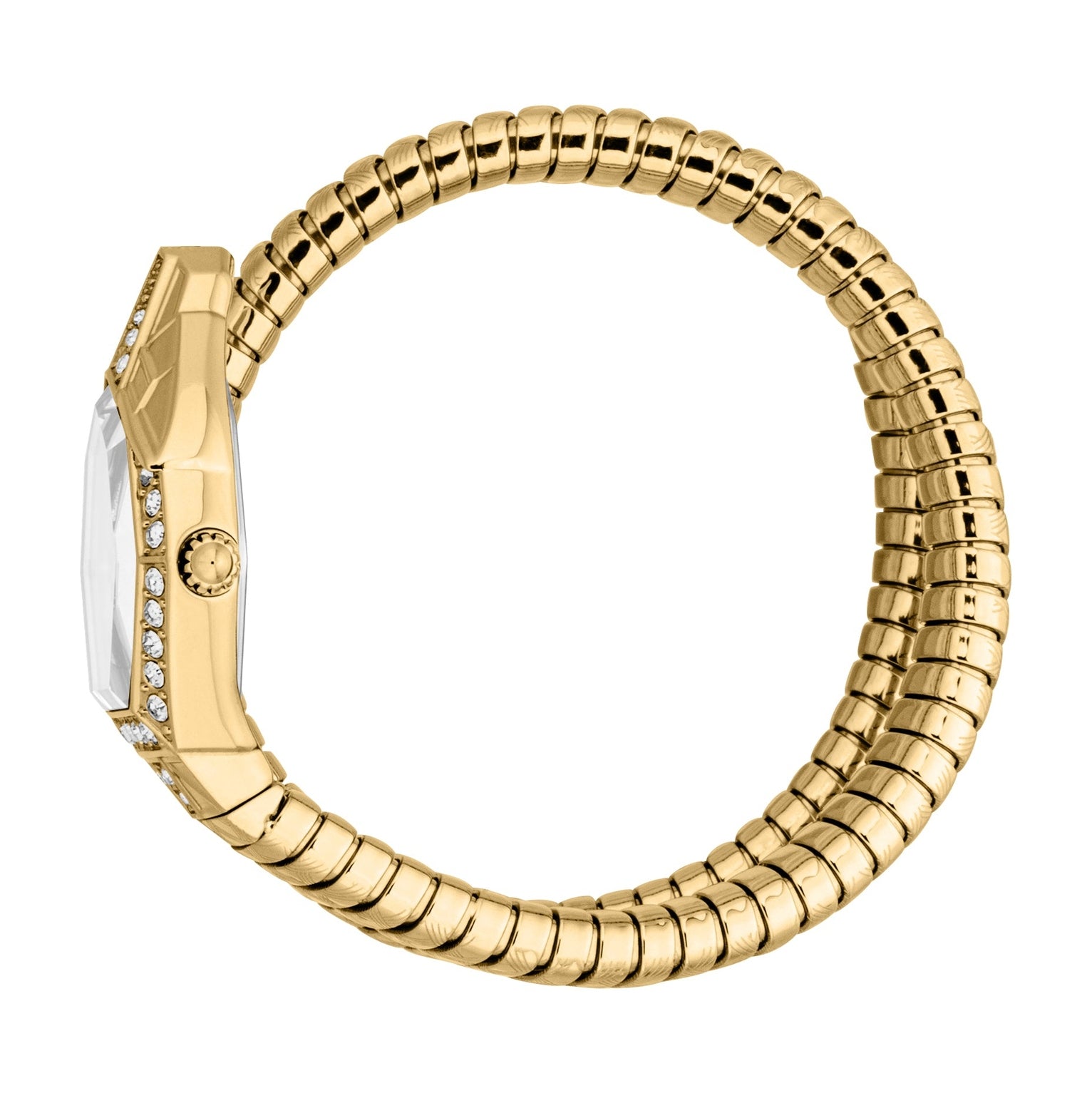 Ladies Ornato Snake Watch (JC1L303M0025)