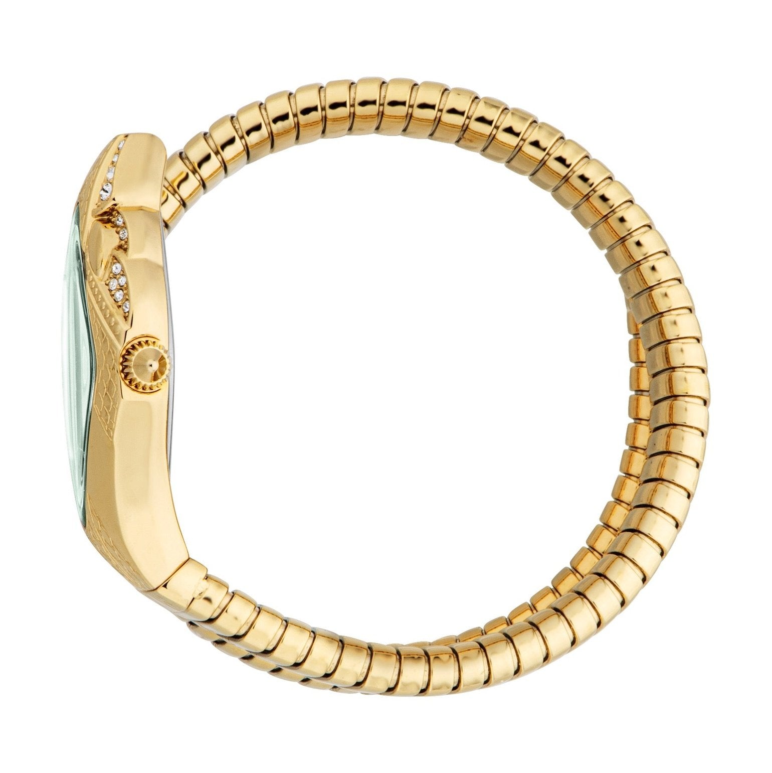 Ladies Ferocious Watch (JC1L306M0045)