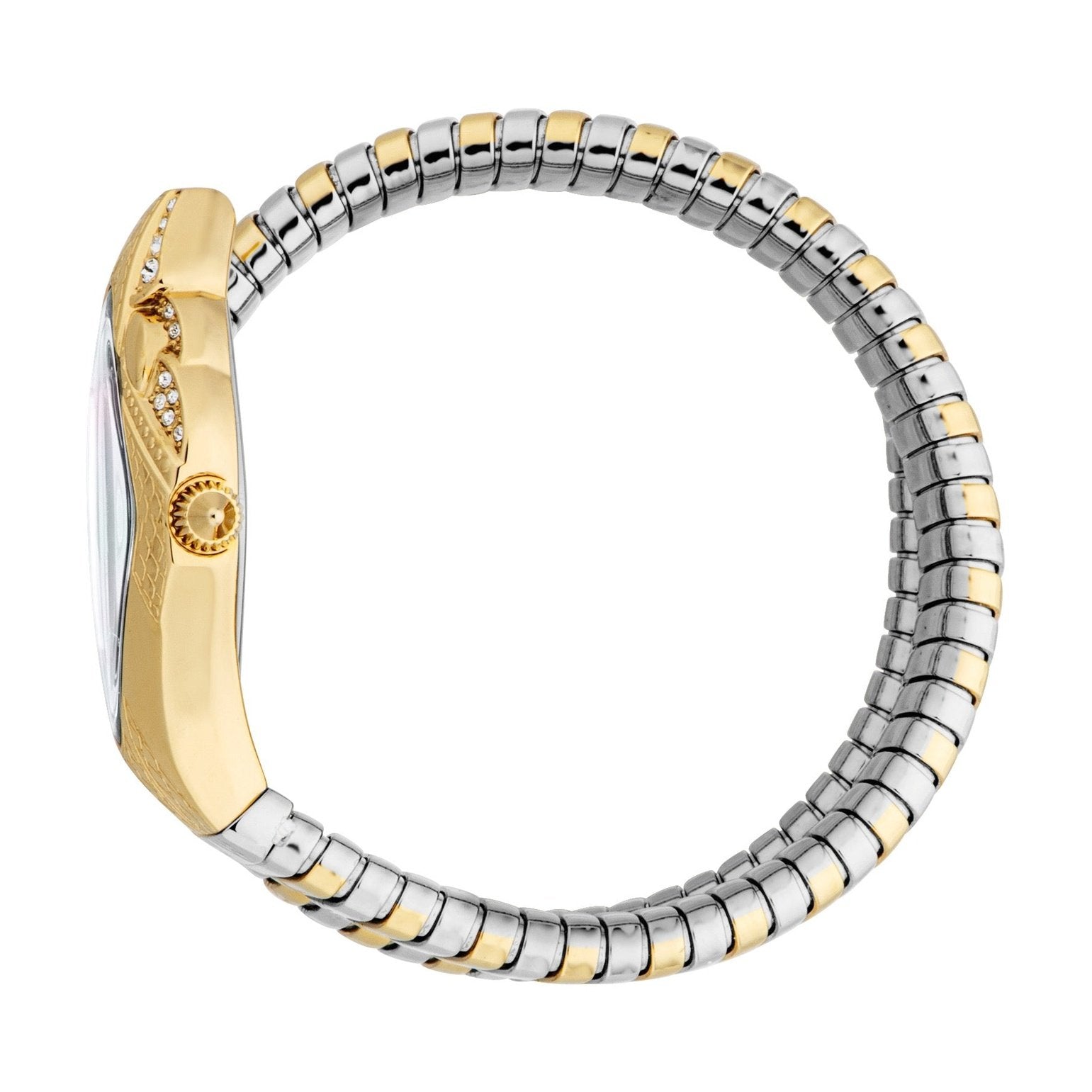 Ladies Ferocious Watch (JC1L306M0065)