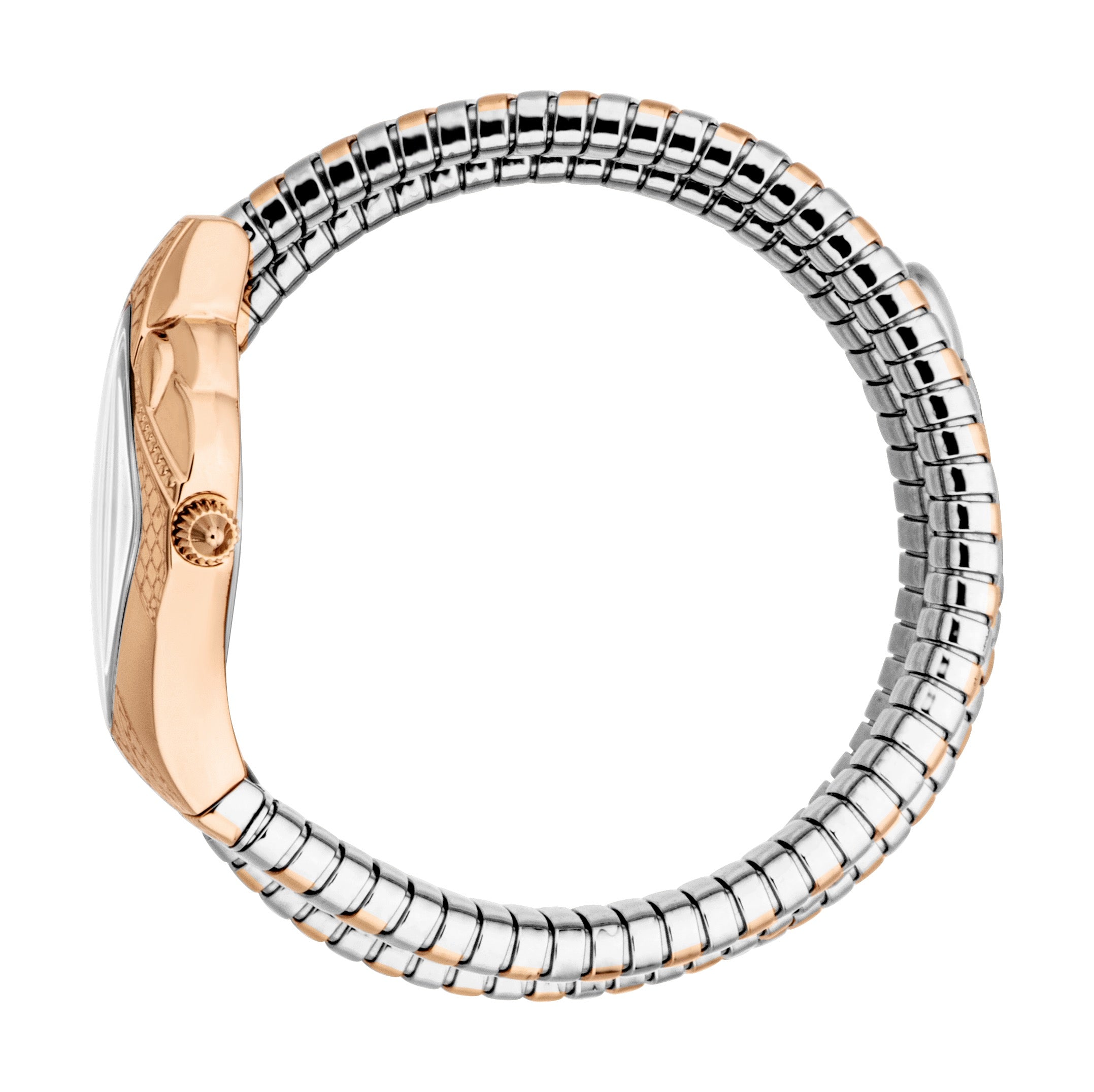 Ladies Cristallo Watch (JC1L307M0065)