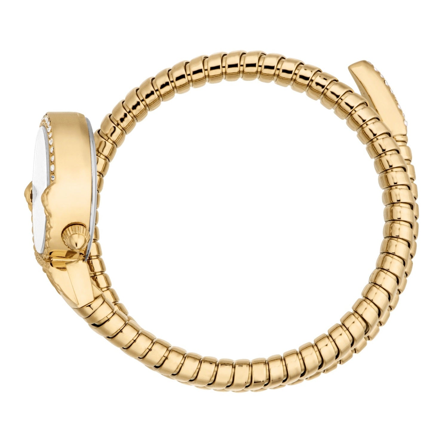 Ladies Radiosa Watch (JC1L350M0025)