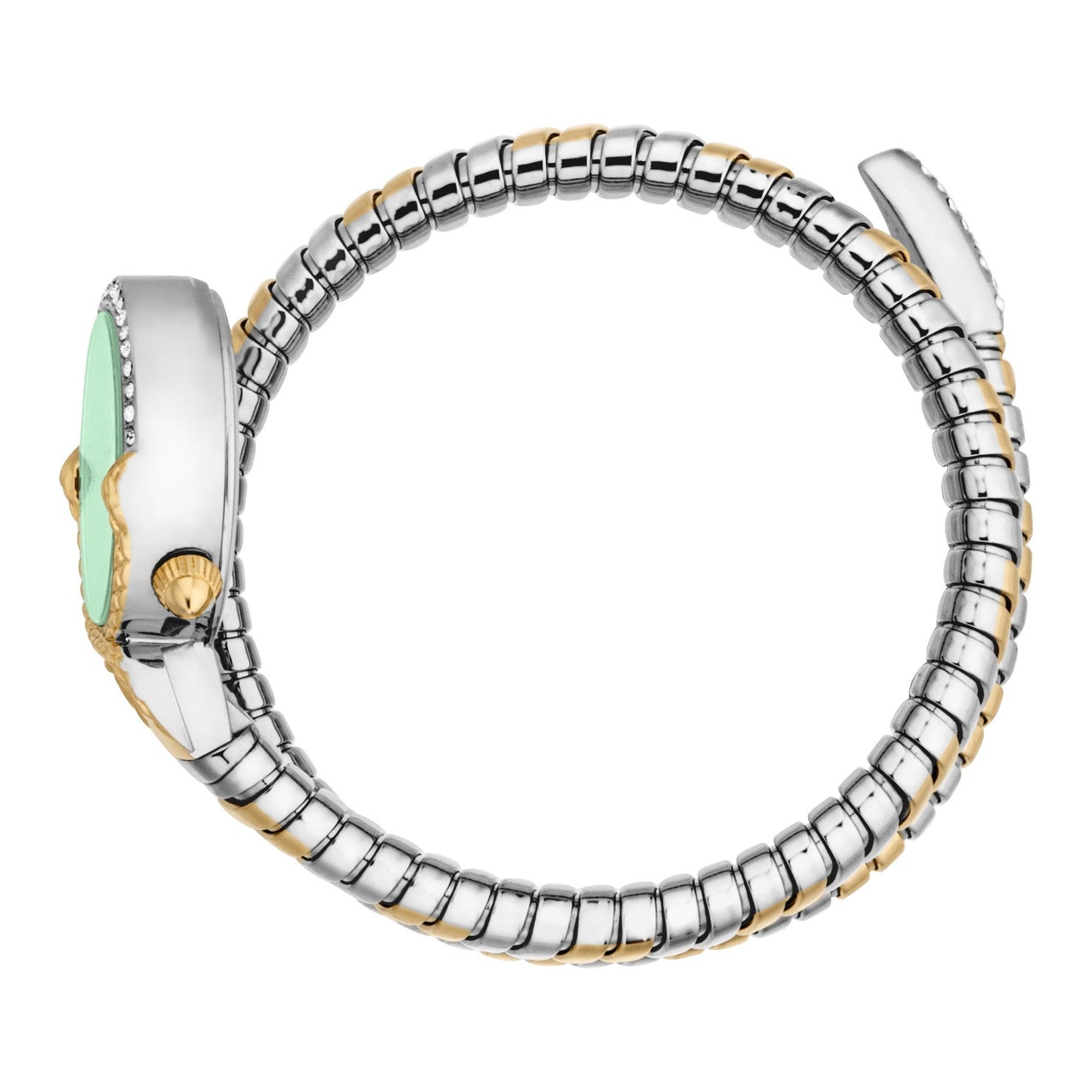 Ladies Radiosa Watch (JC1L350M0065)