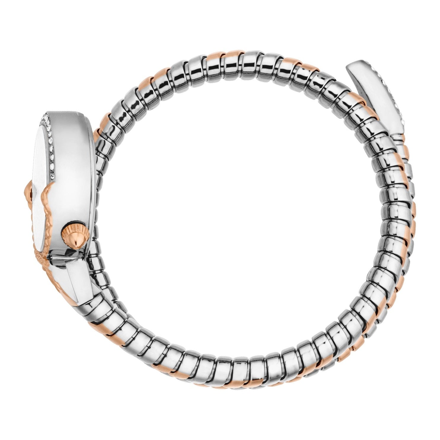 Ladies Radiosa Watch (JC1L350M0075)