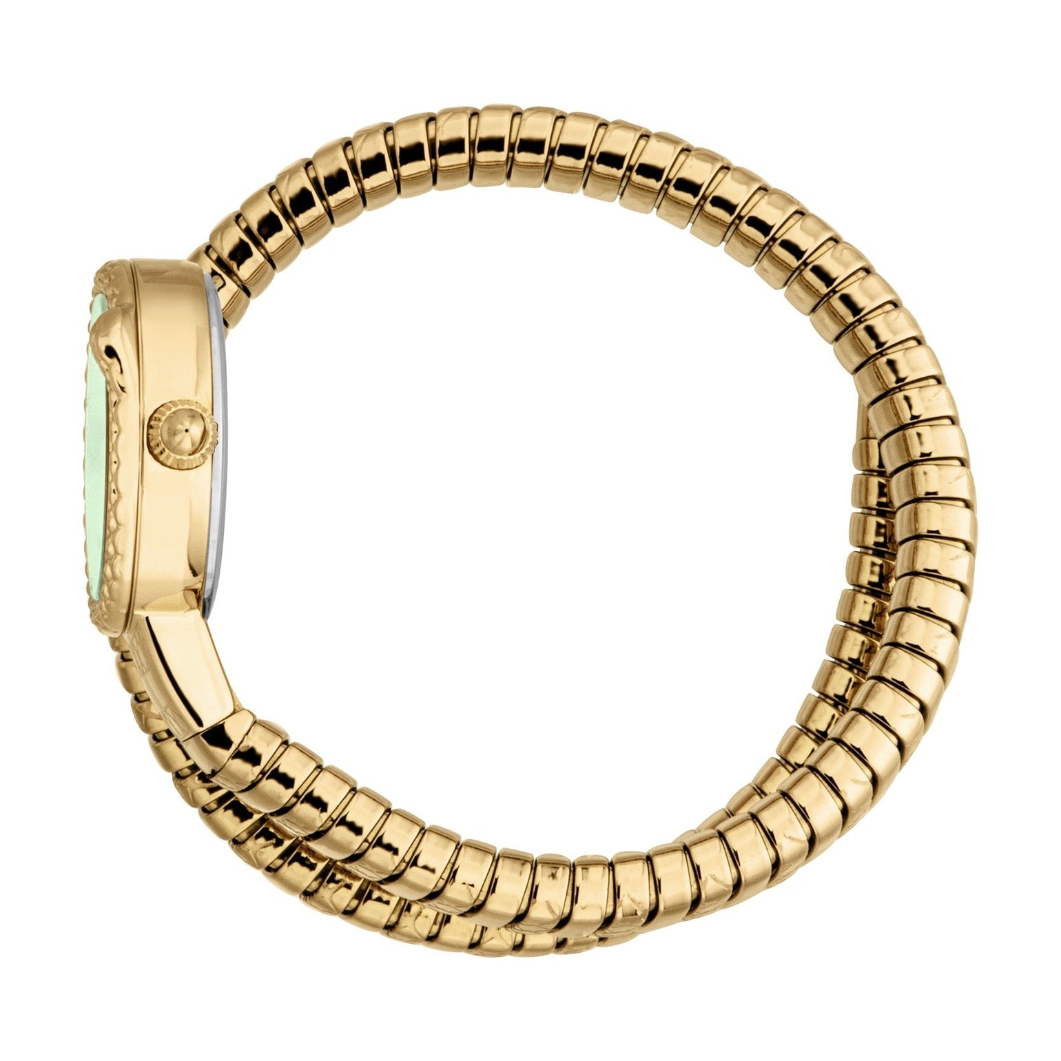 Ladies Sirena Watch (JC1L351M0035)