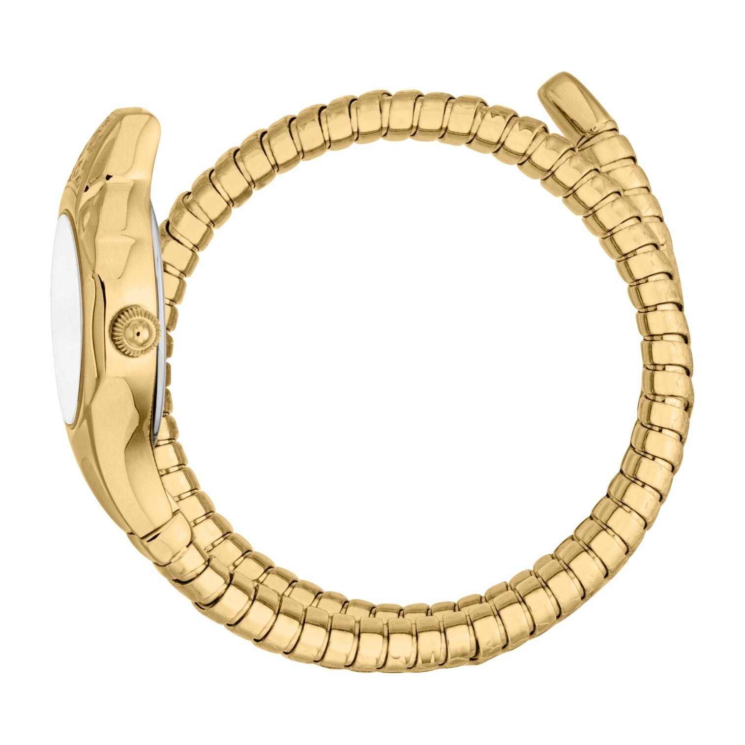 Ladies Fiore Watch (JC1L354M0025)