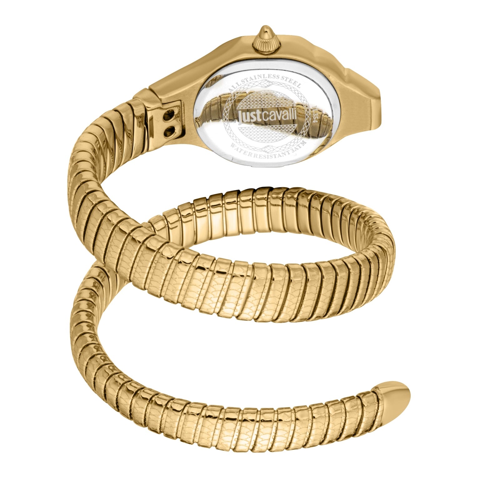 Ladies Fiore Watch (JC1L354M0035)