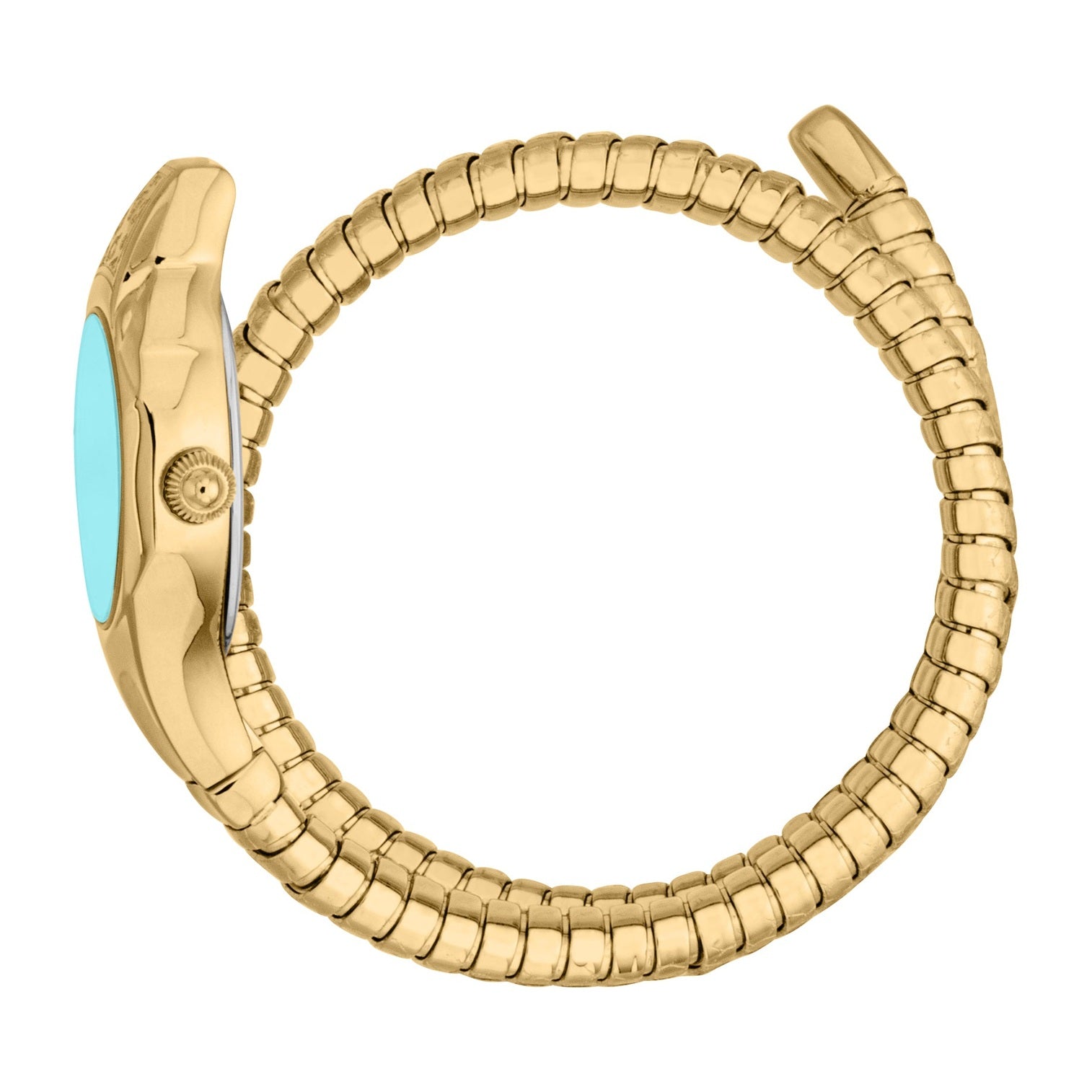 Ladies Fiore Watch (JC1L354M0035)