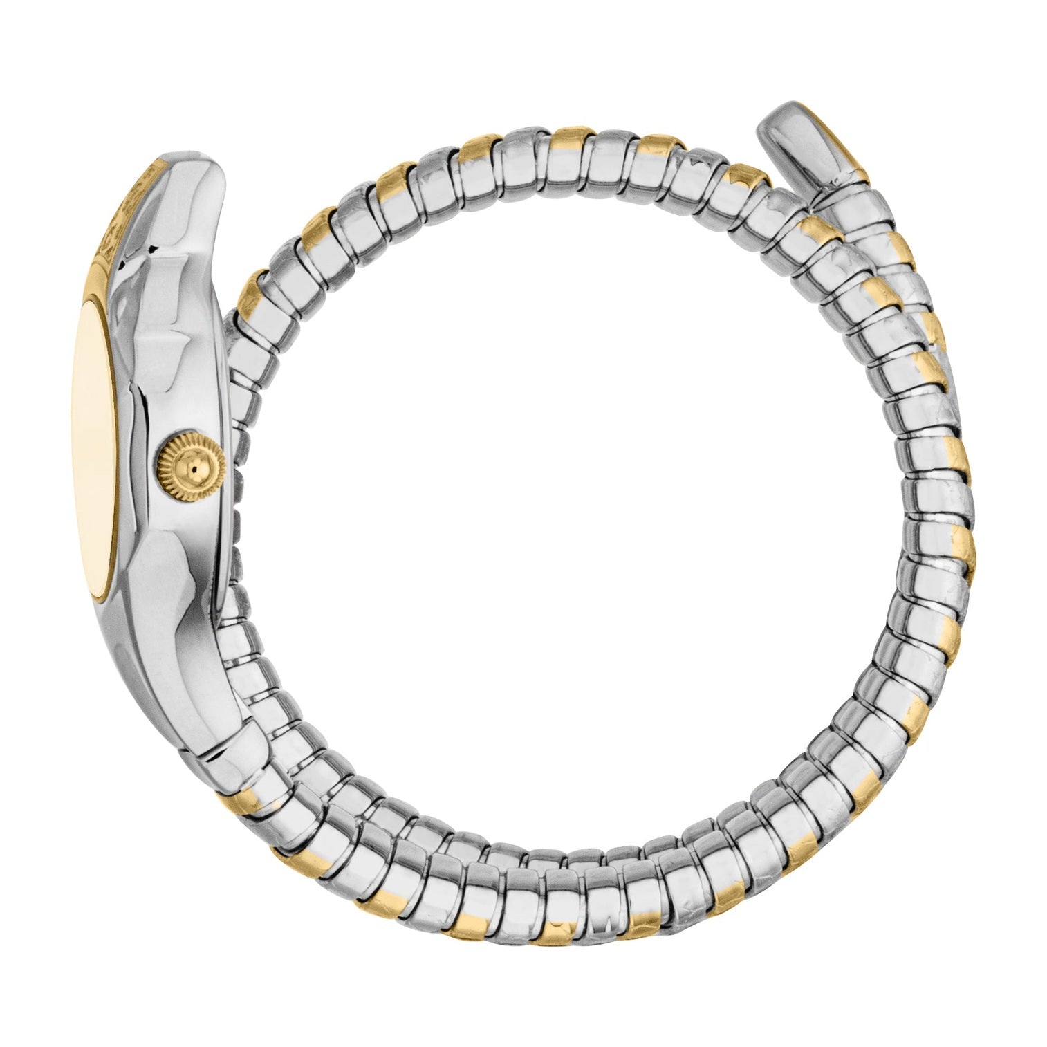 Ladies Fiore Watch (JC1L354M0055)