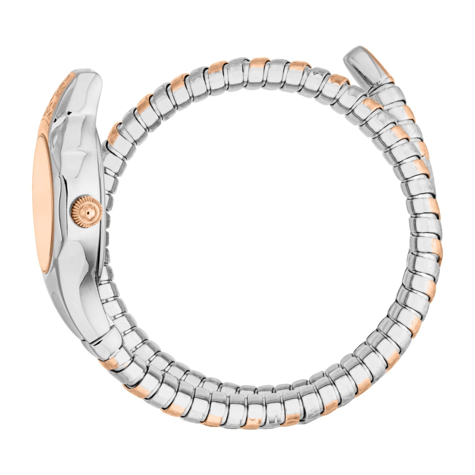 Ladies Fiore Watch (JC1L354M0065)