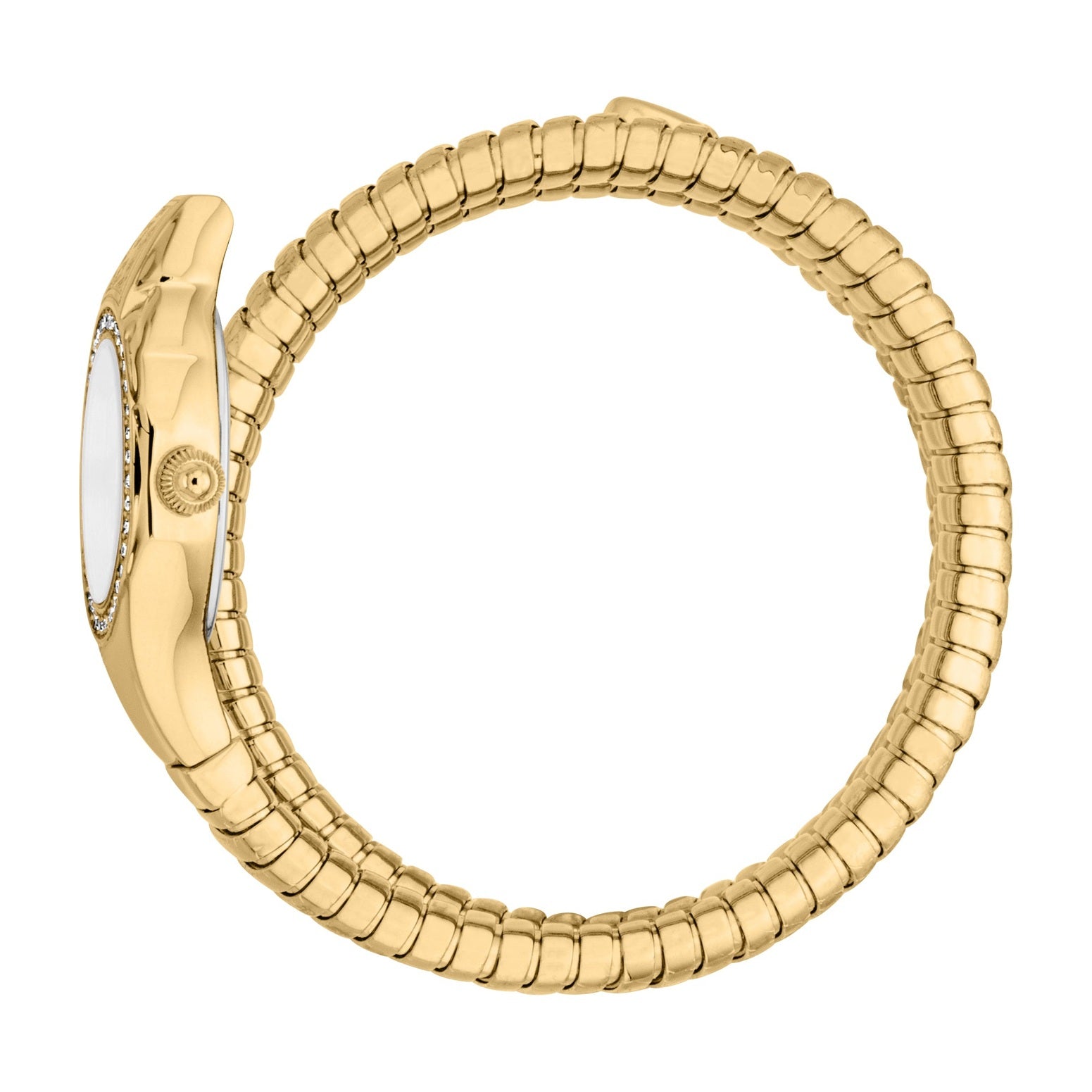 Ladies Vita Watch (JC1L355M0025)