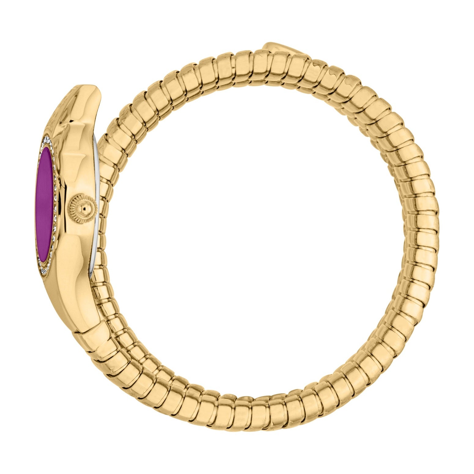 Ladies Vita Watch (JC1L355M0035)