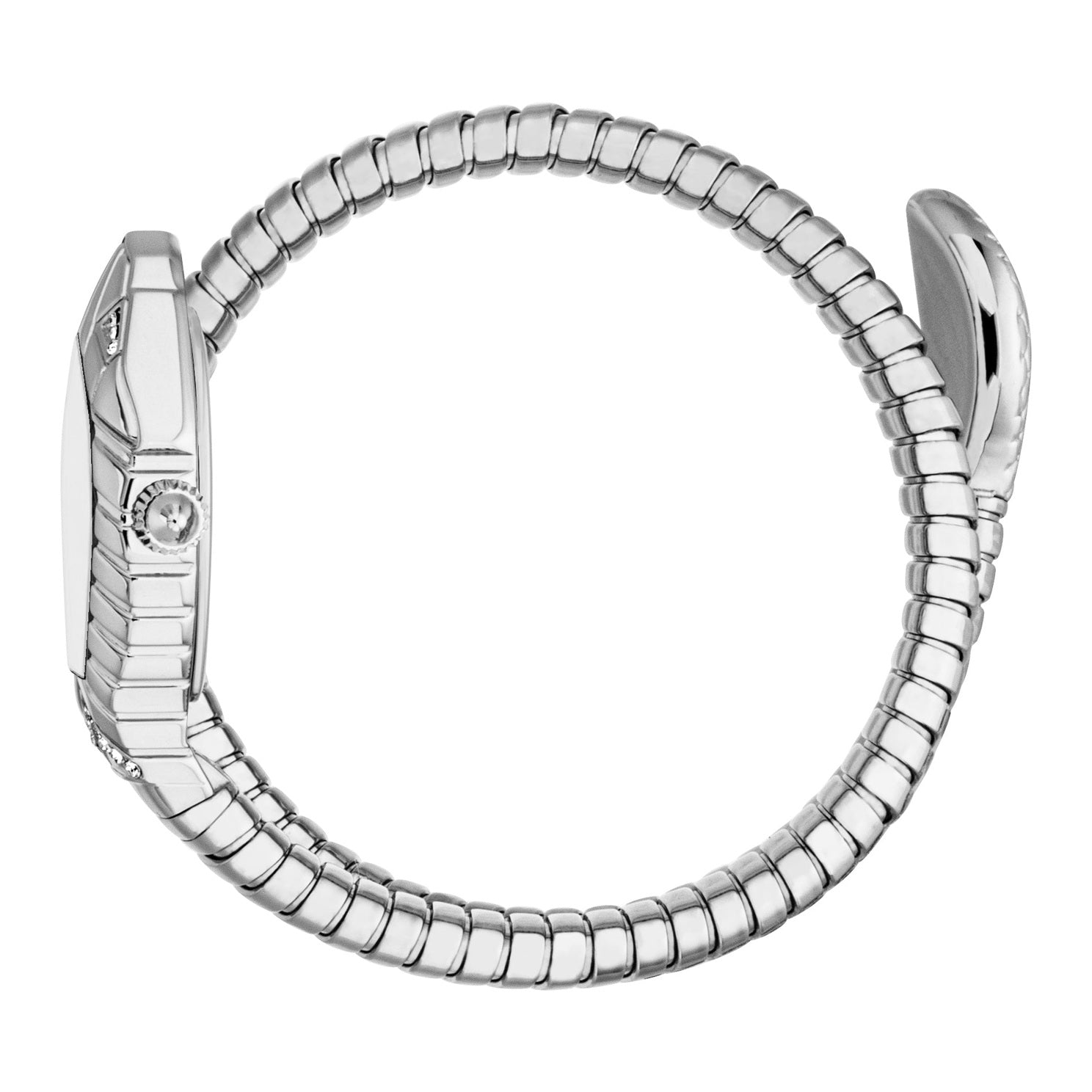 Ladies Speranza Watch (JC1L356M0015)