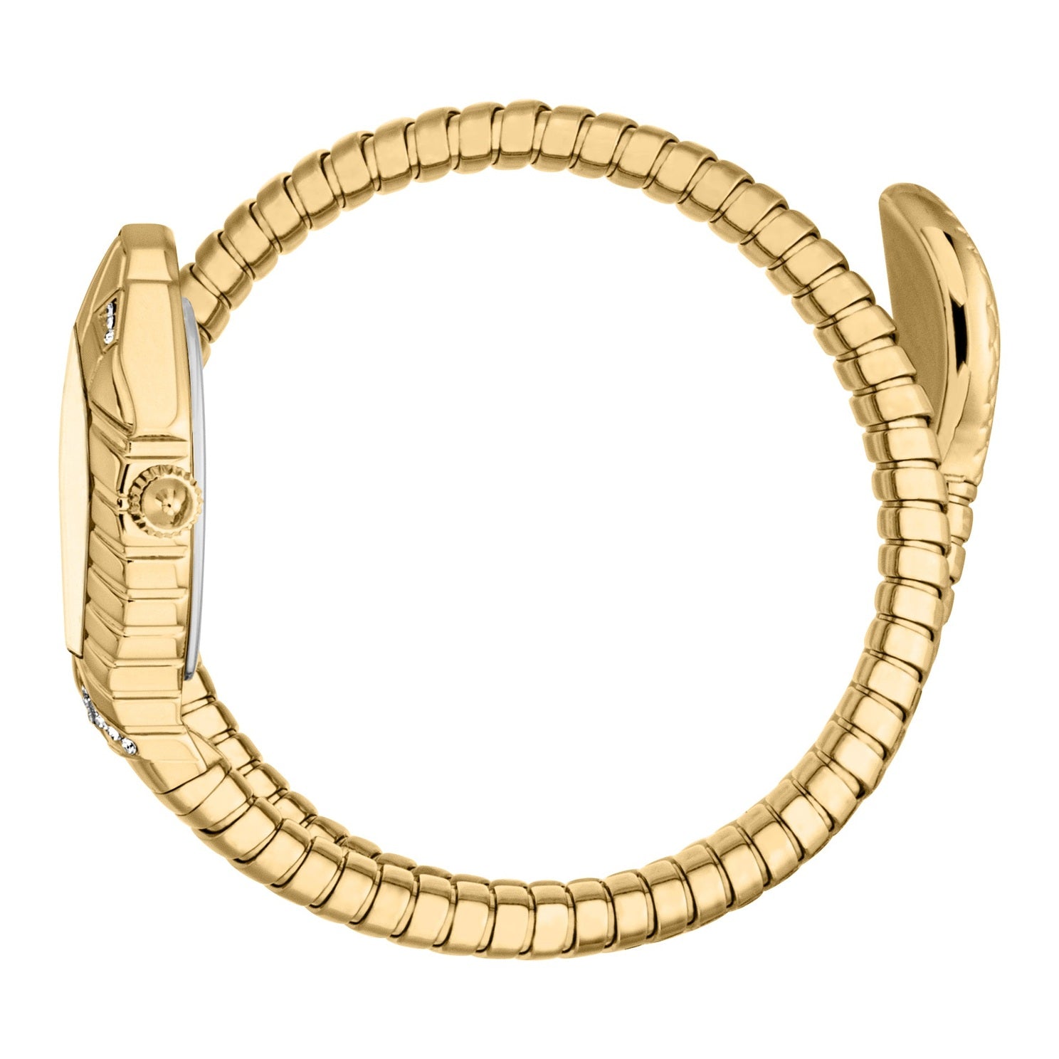 Ladies Speranza Watch (JC1L356M0025)