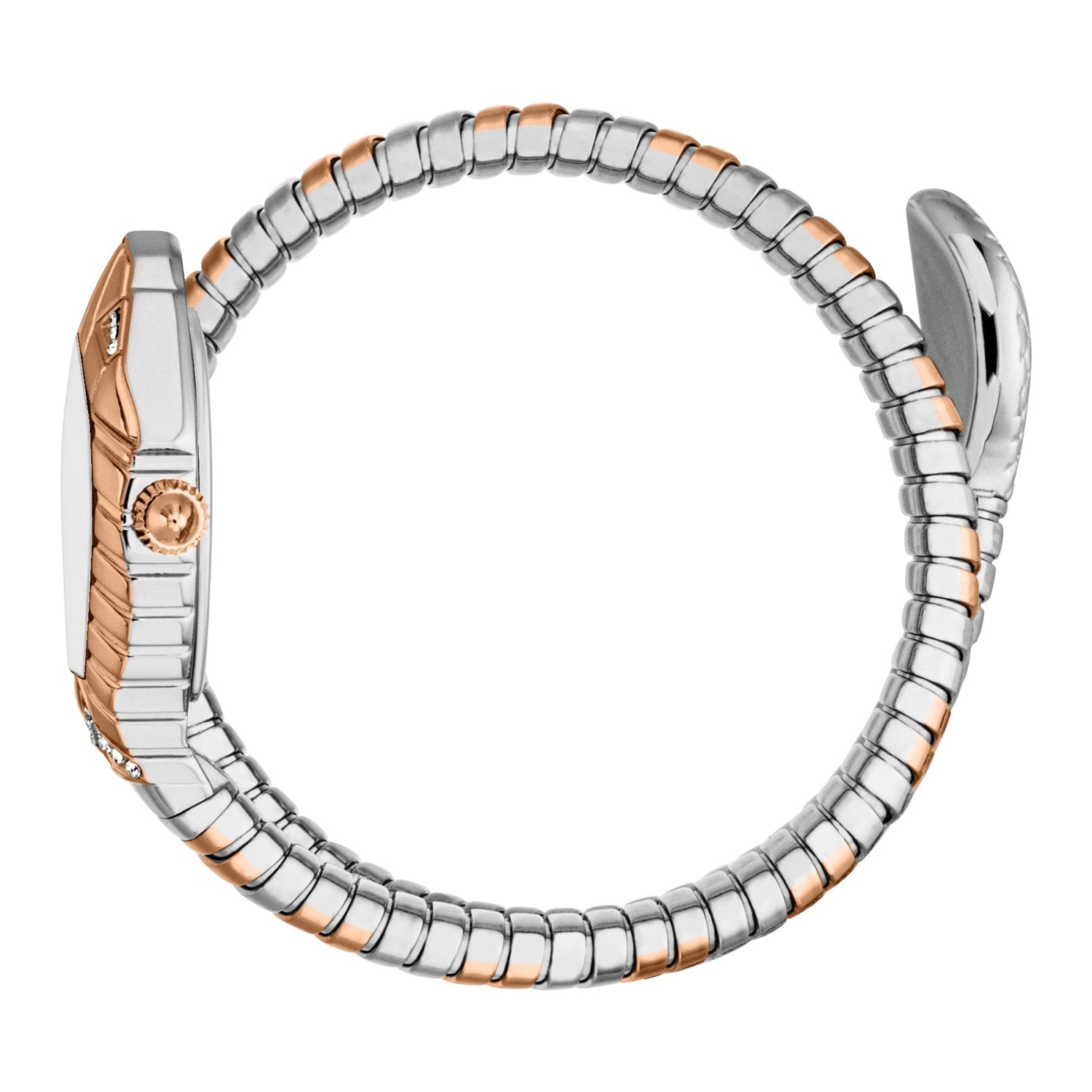 Ladies Speranza Watch (JC1L356M0065)