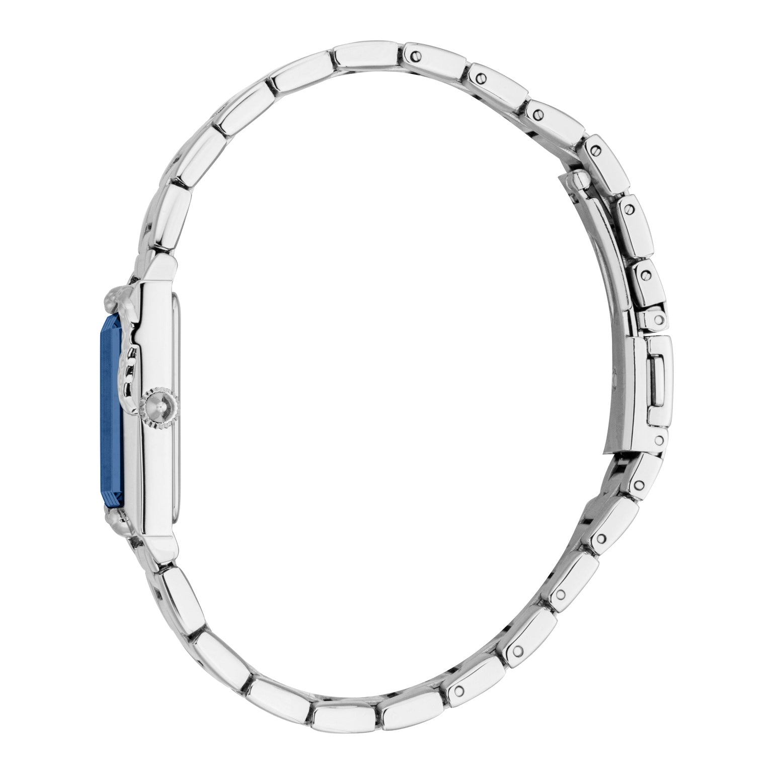 Ladies Dolcezza Watch (JC1L364M0055)