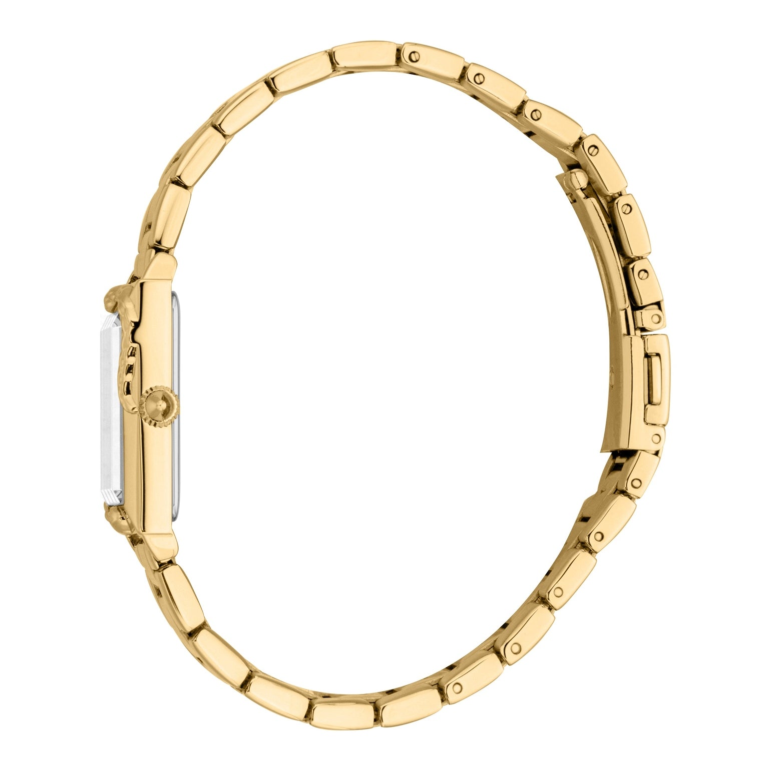 Ladies Dolcezza Watch (JC1L364M0065)