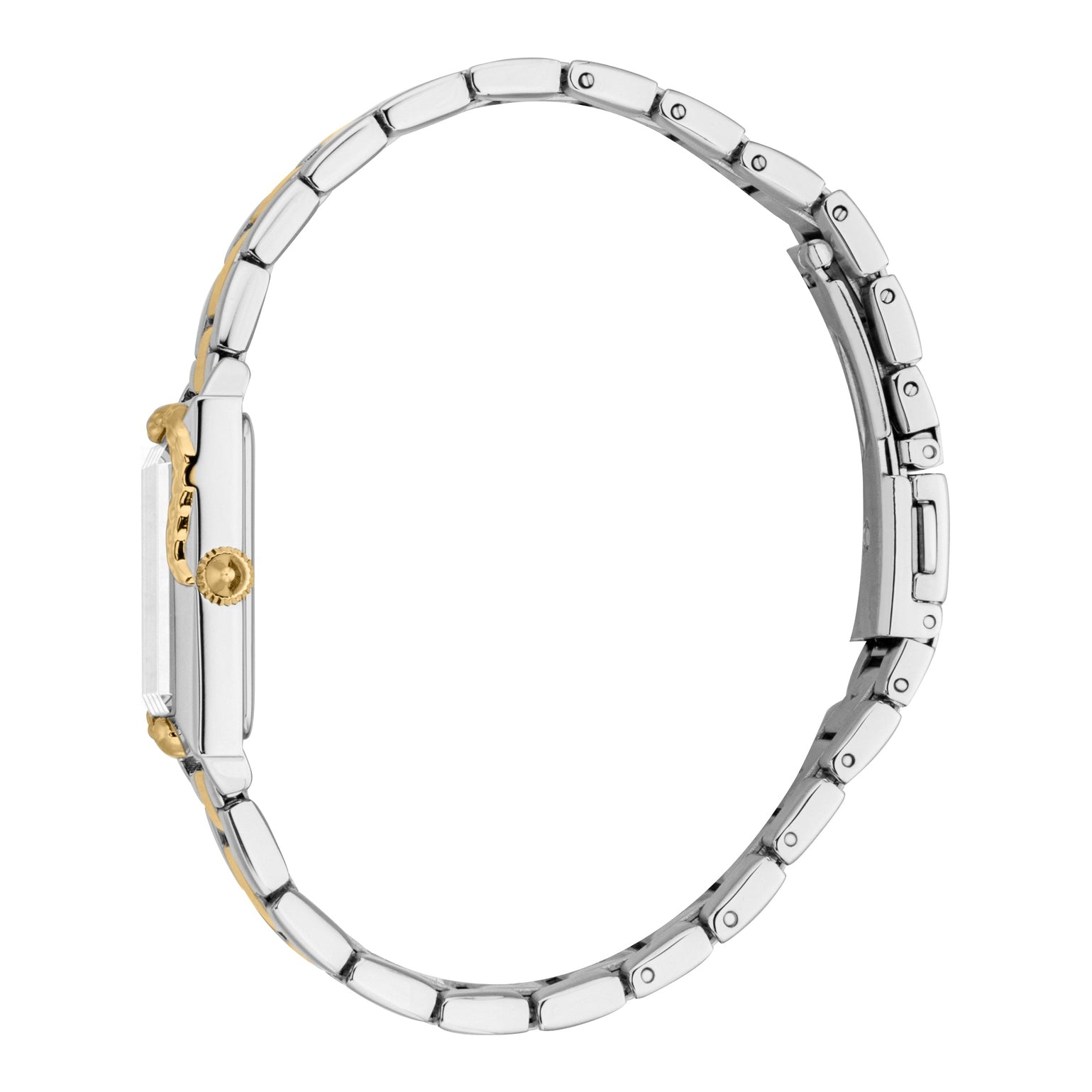 Ladies Dolcezza Watch (JC1L364M0085)