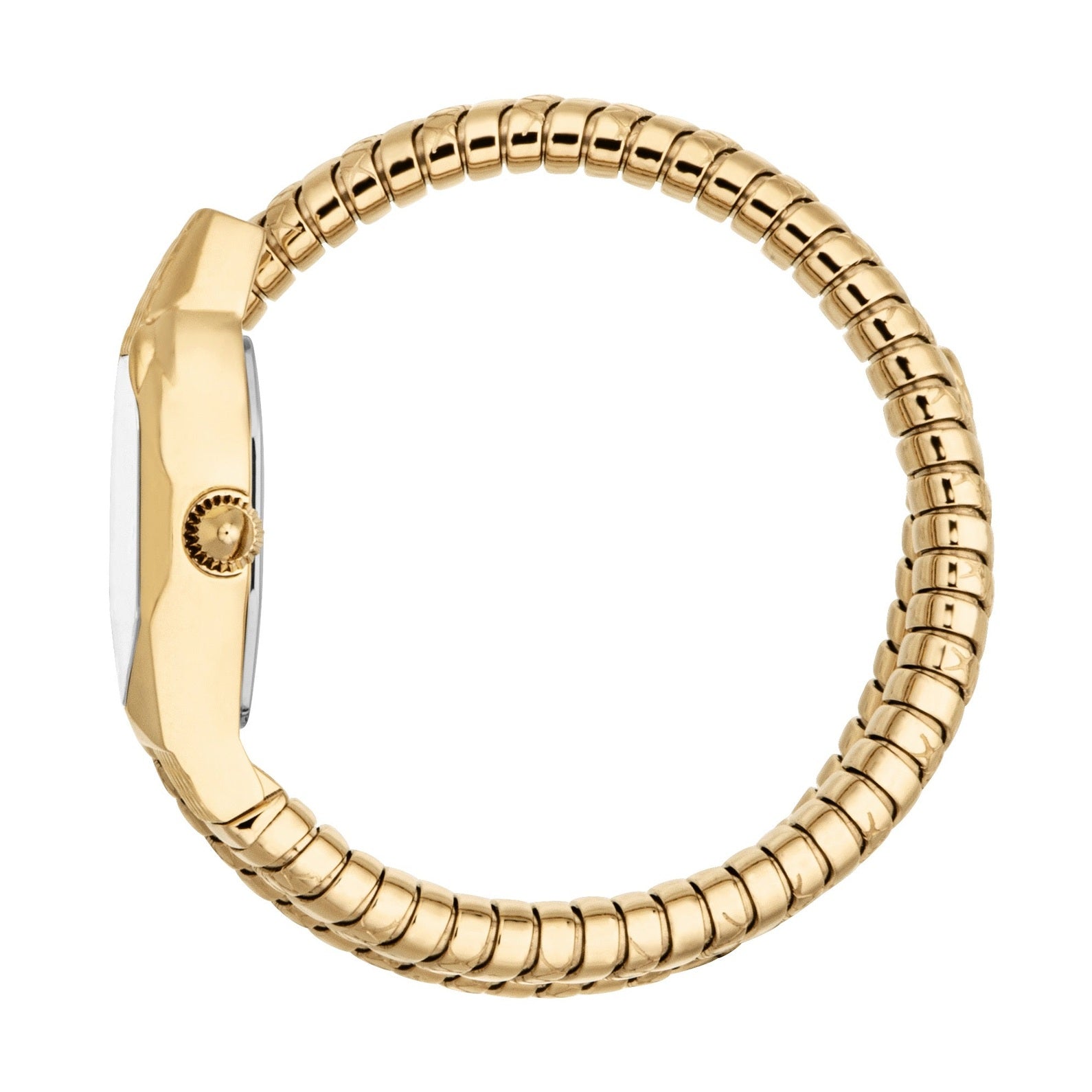 Ladies Aria Watch (JC1L369M0035)