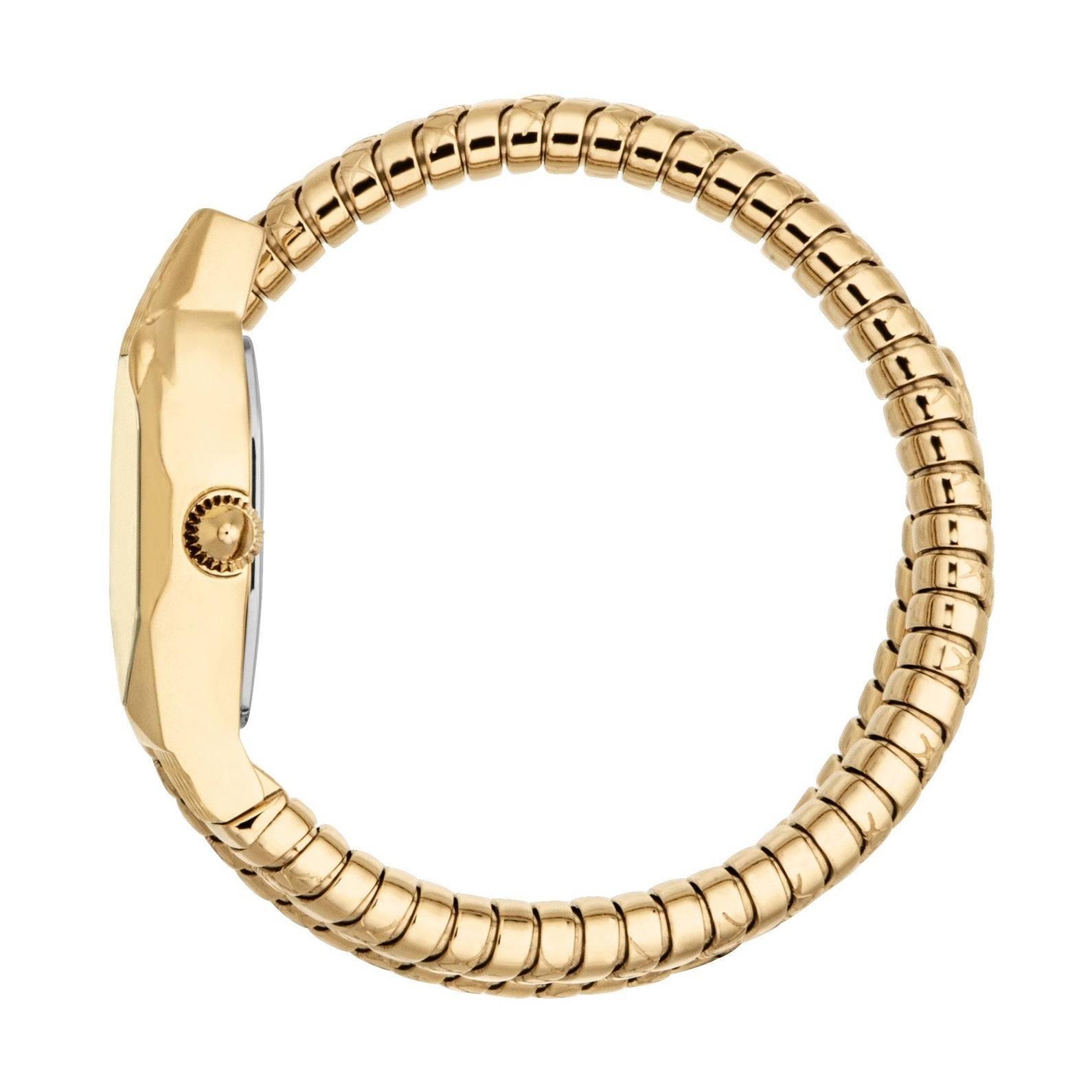 Ladies Aria Watch (JC1L369M0045)